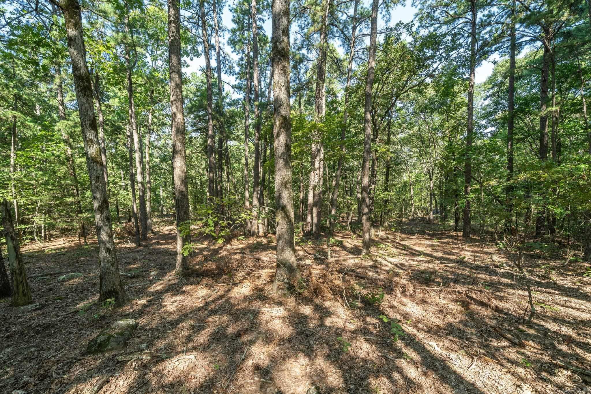 3024 Red Bench Rd Property Photo 30