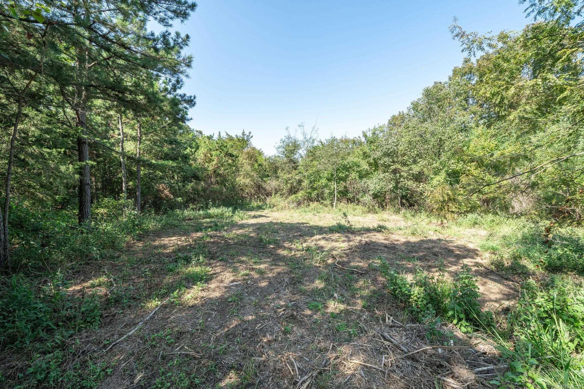 3024 Red Bench Rd Property Photo 31