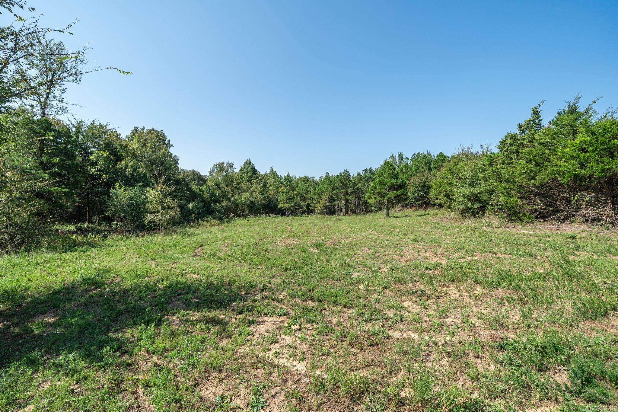 3024 Red Bench Rd Property Photo 33