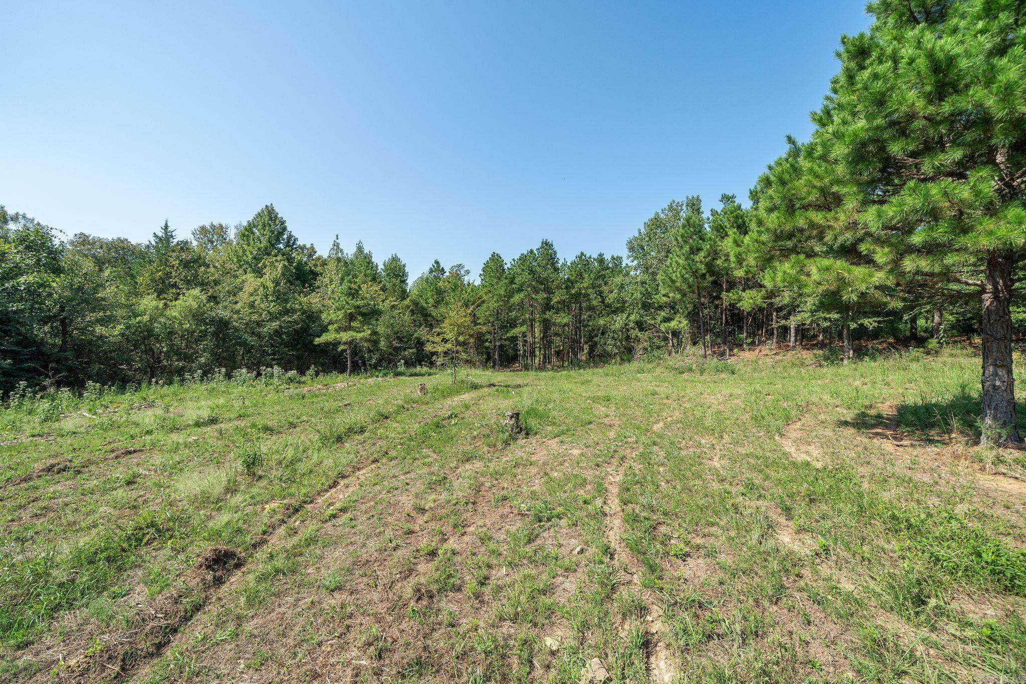 3024 Red Bench Rd Property Photo 34