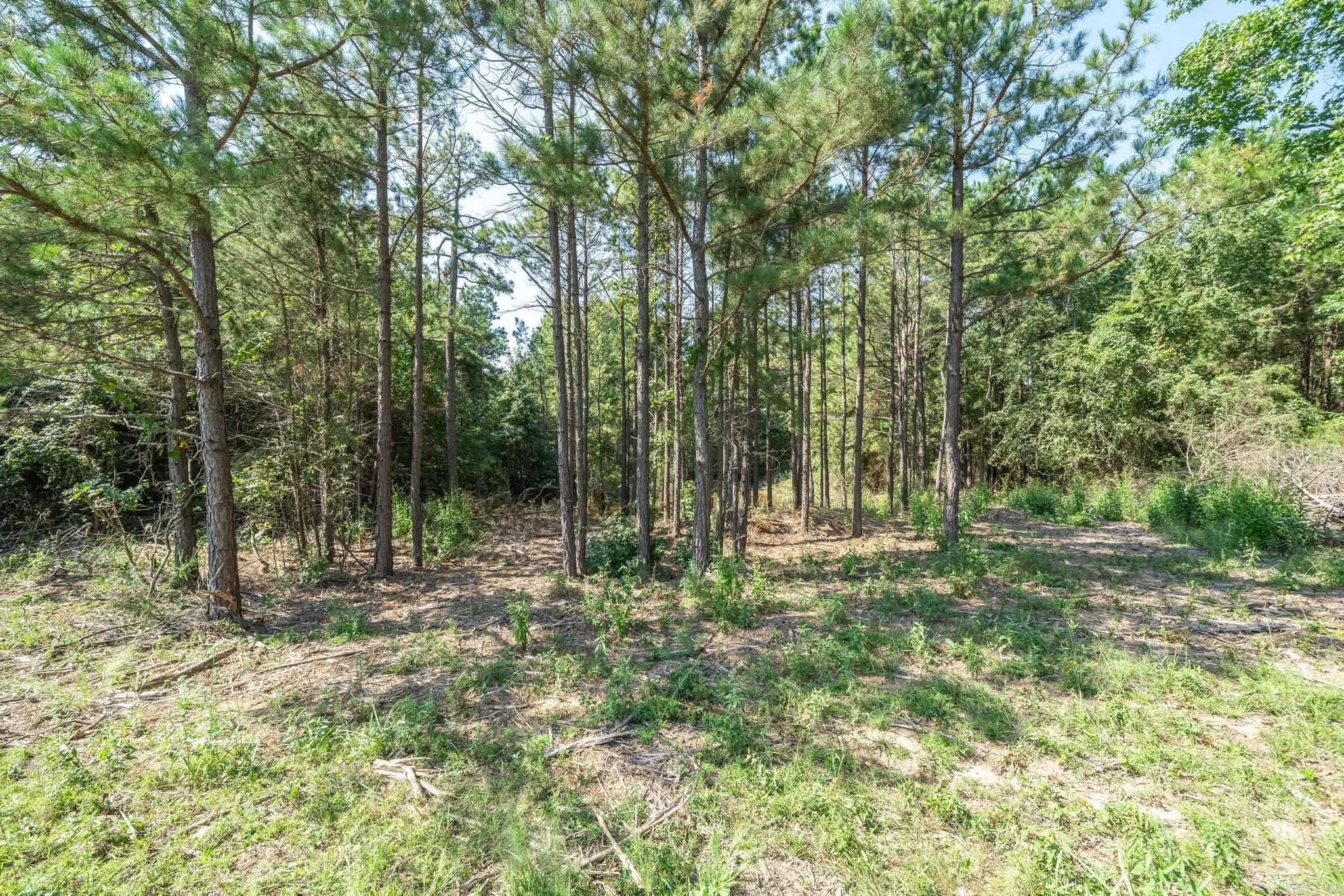 3024 Red Bench Rd Property Photo 35