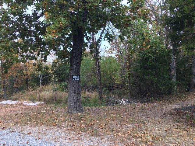 191 Westwind Ct Property Photo 36