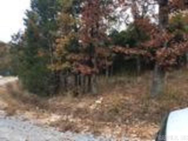 191 Westwind Ct Property Photo 38