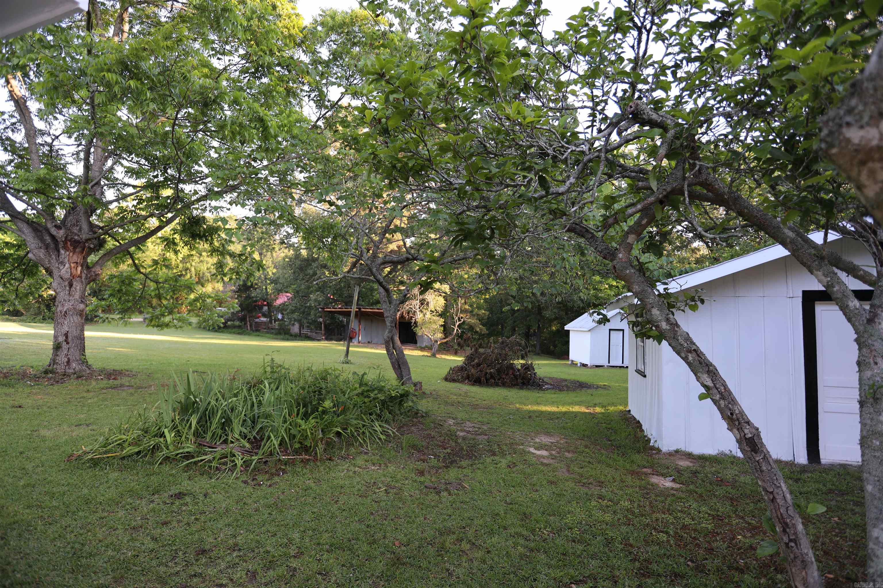 1702 W Pine Property Photo 6