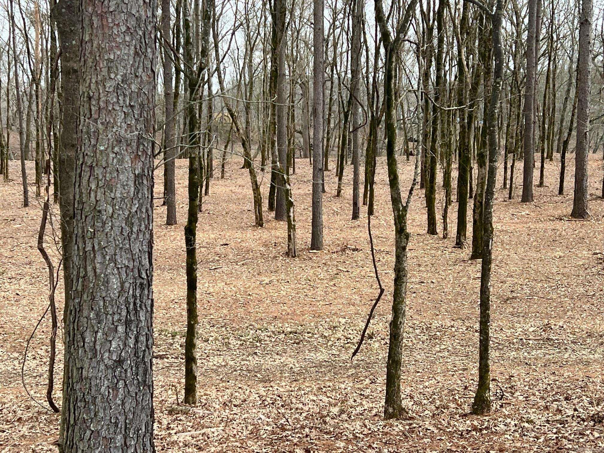 00 Sunshine (lot 4) Lane Property Photo 5