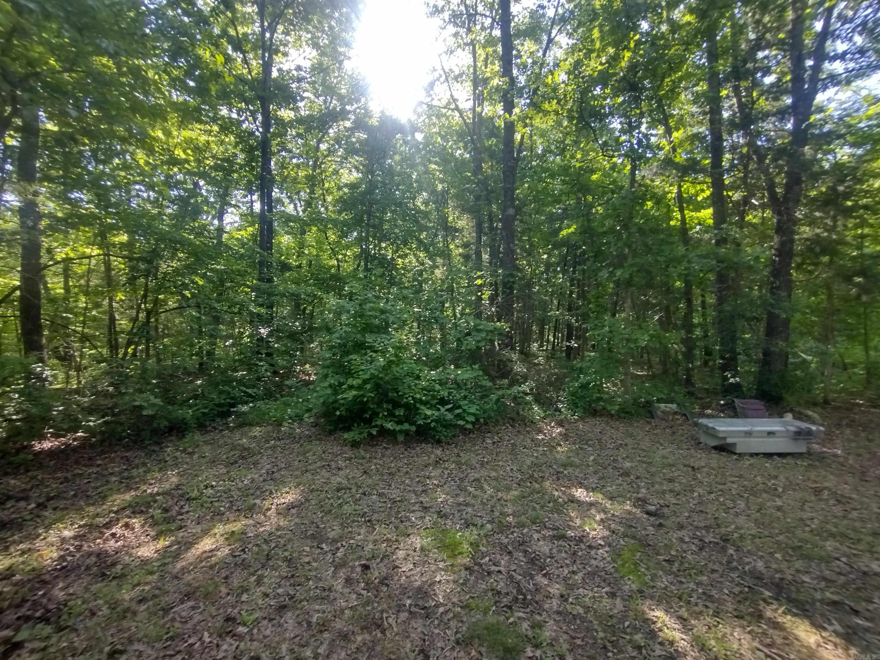 880 Wildcat Rd Property Photo 24