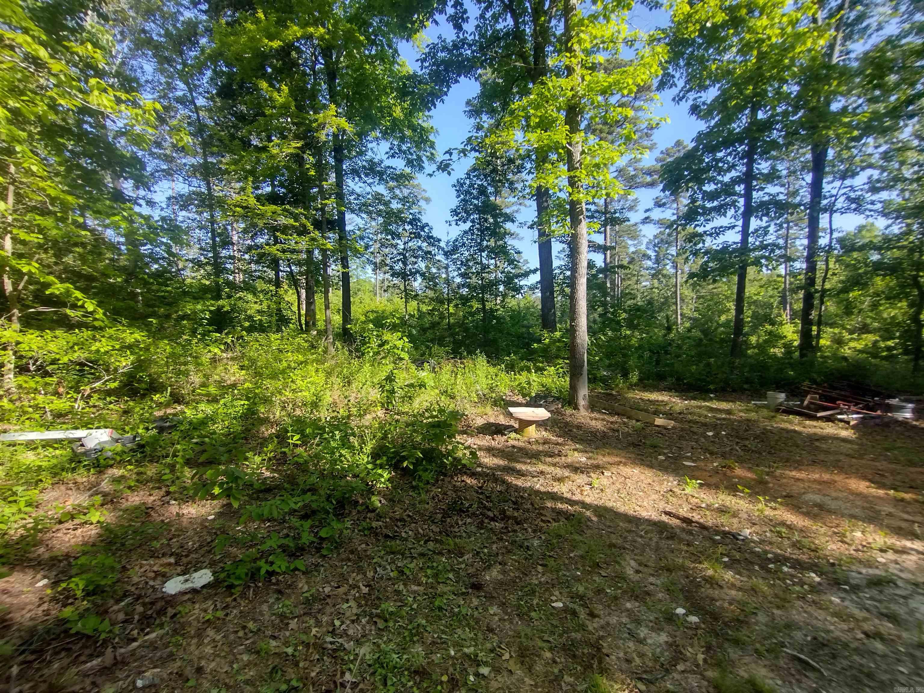 880 Wildcat Rd Property Photo 26
