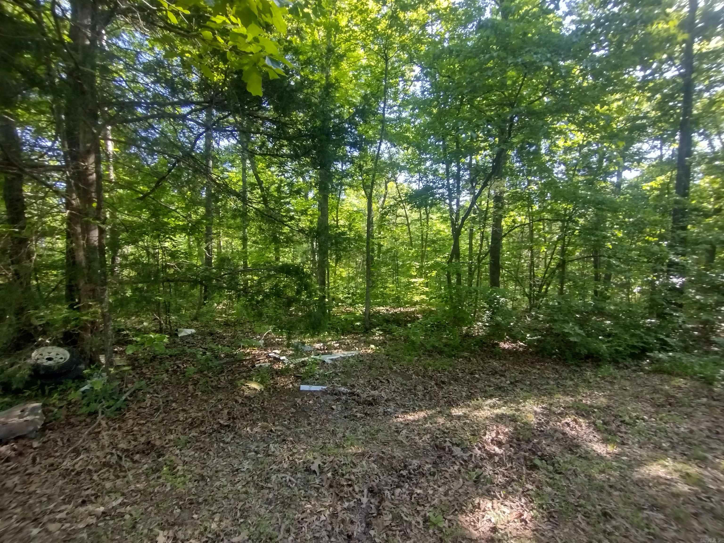 880 Wildcat Rd Property Photo 30