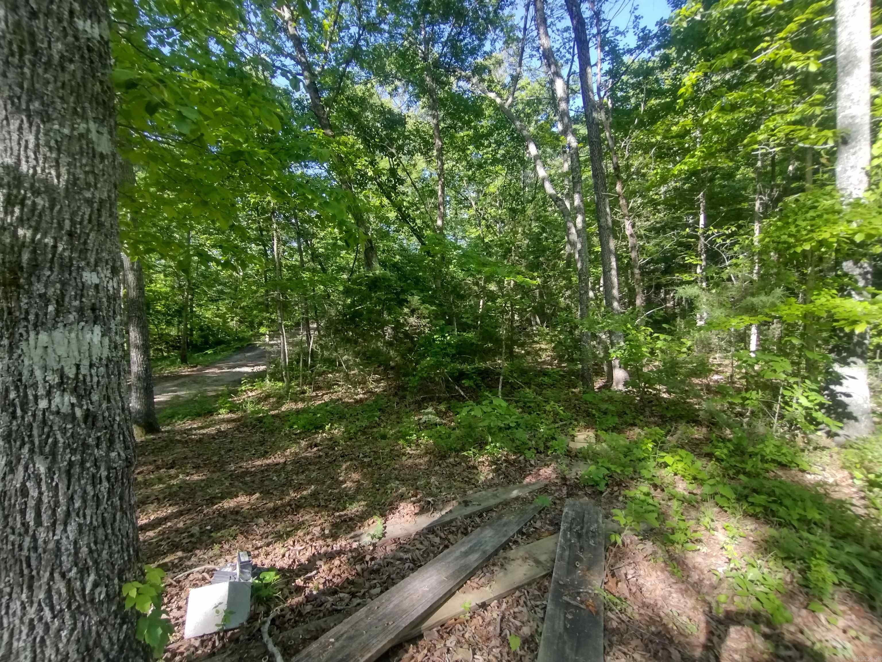 880 Wildcat Rd Property Photo 31