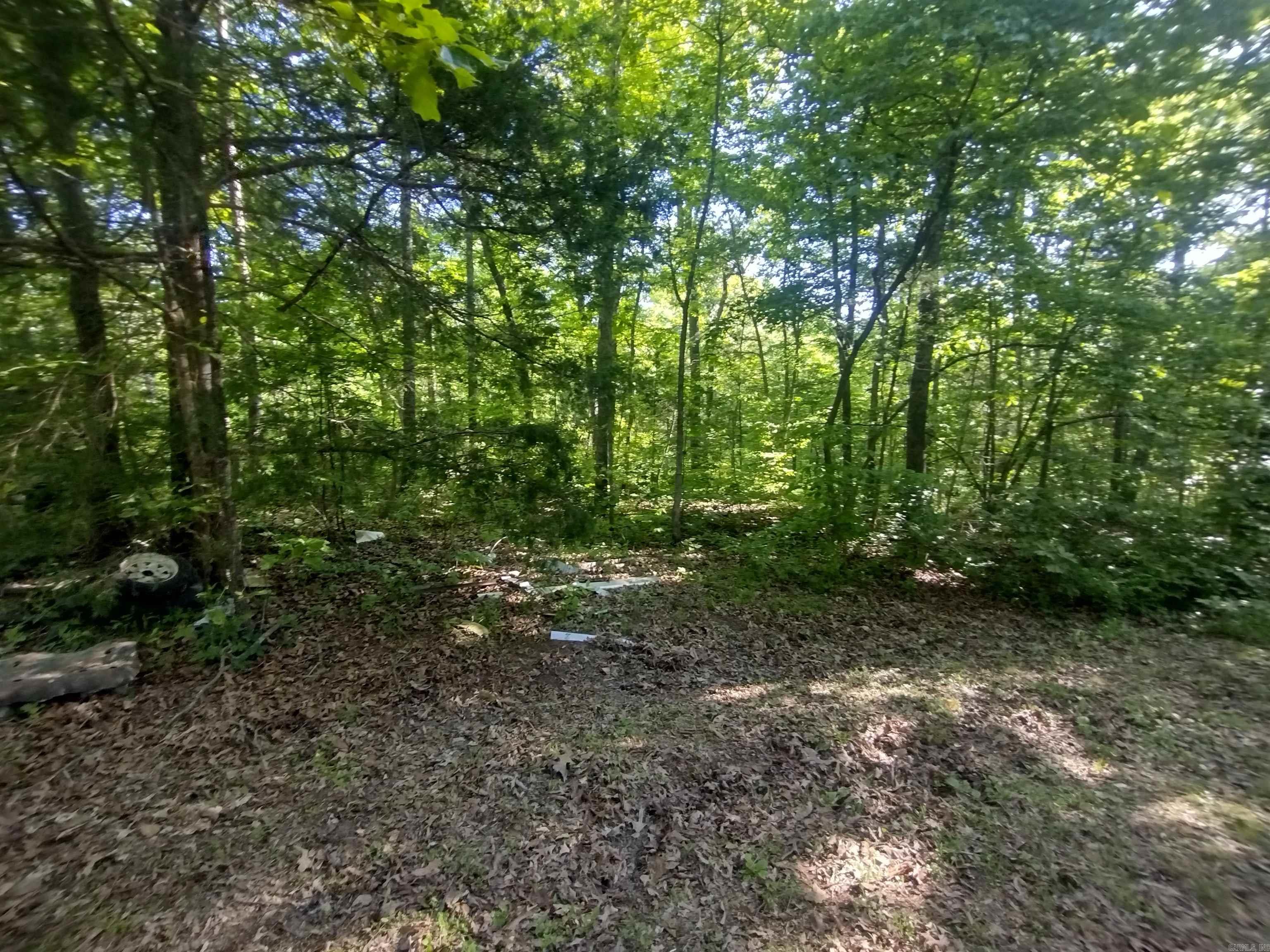 880 Wildcat Rd Property Photo 32