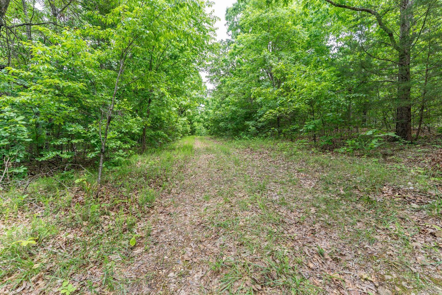 14782 County Road 7990 Property Photo 11