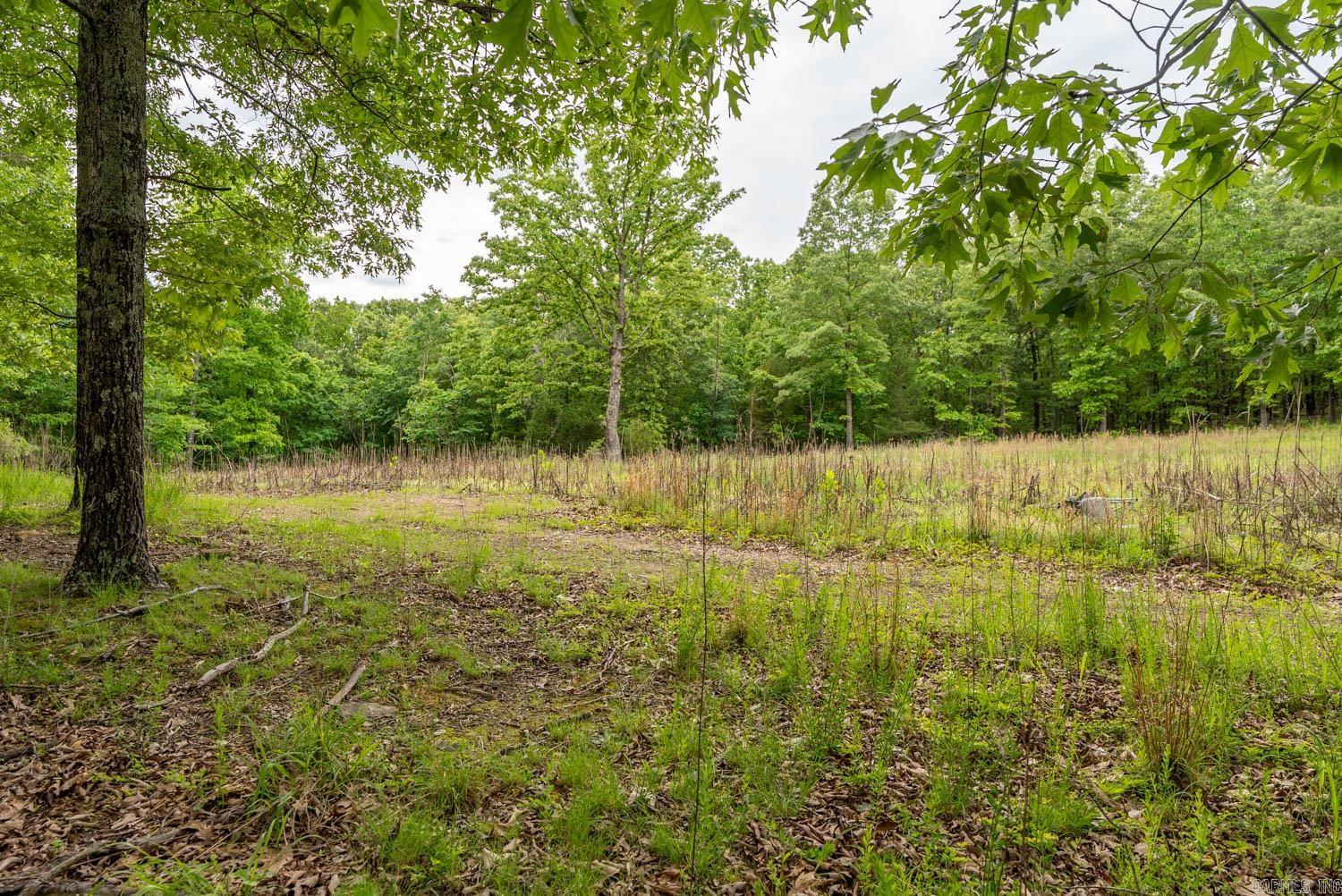 14782 County Road 7990 Property Photo 17