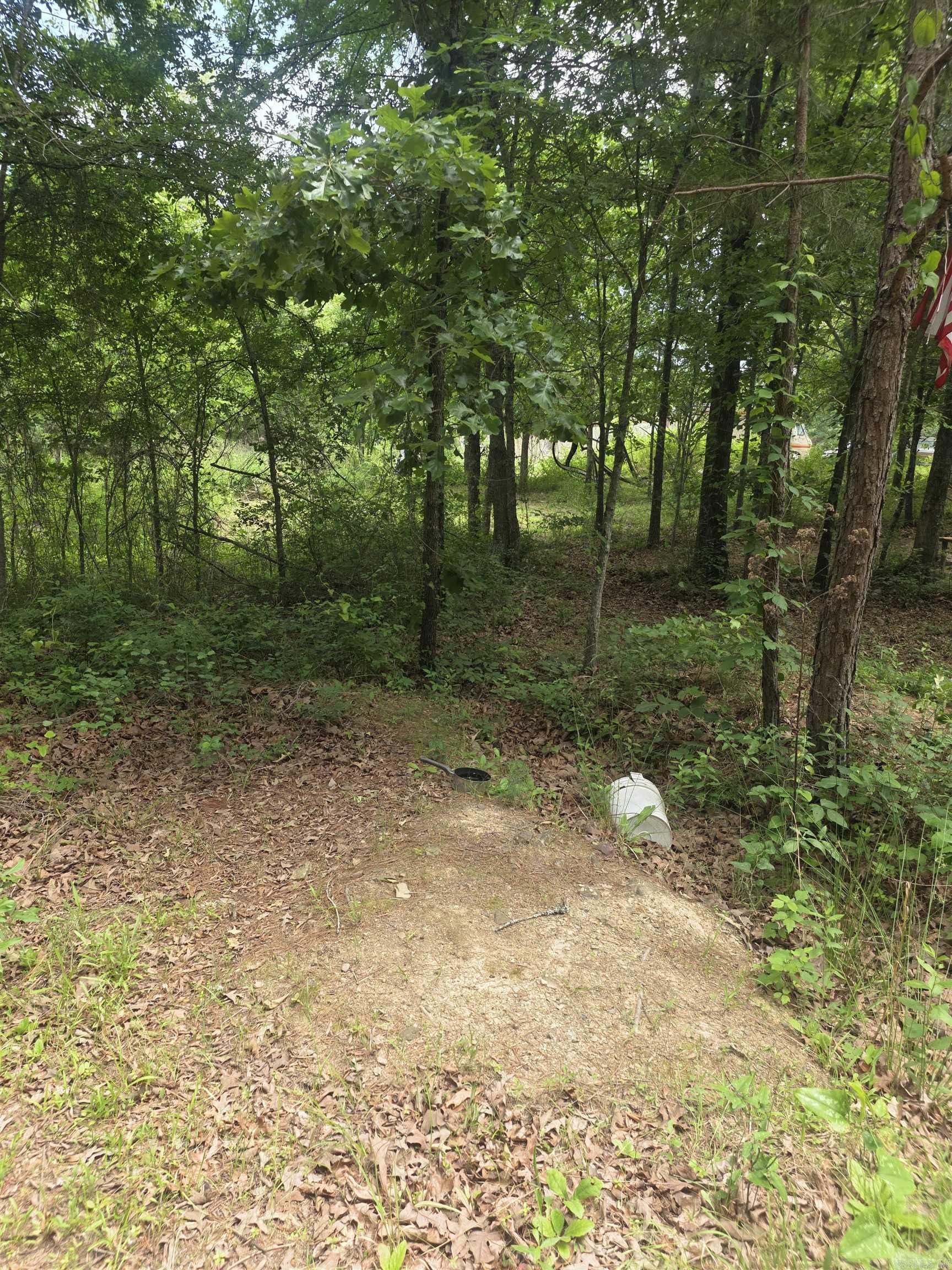 Tbd Polk Rd 76 E Property Photo 3