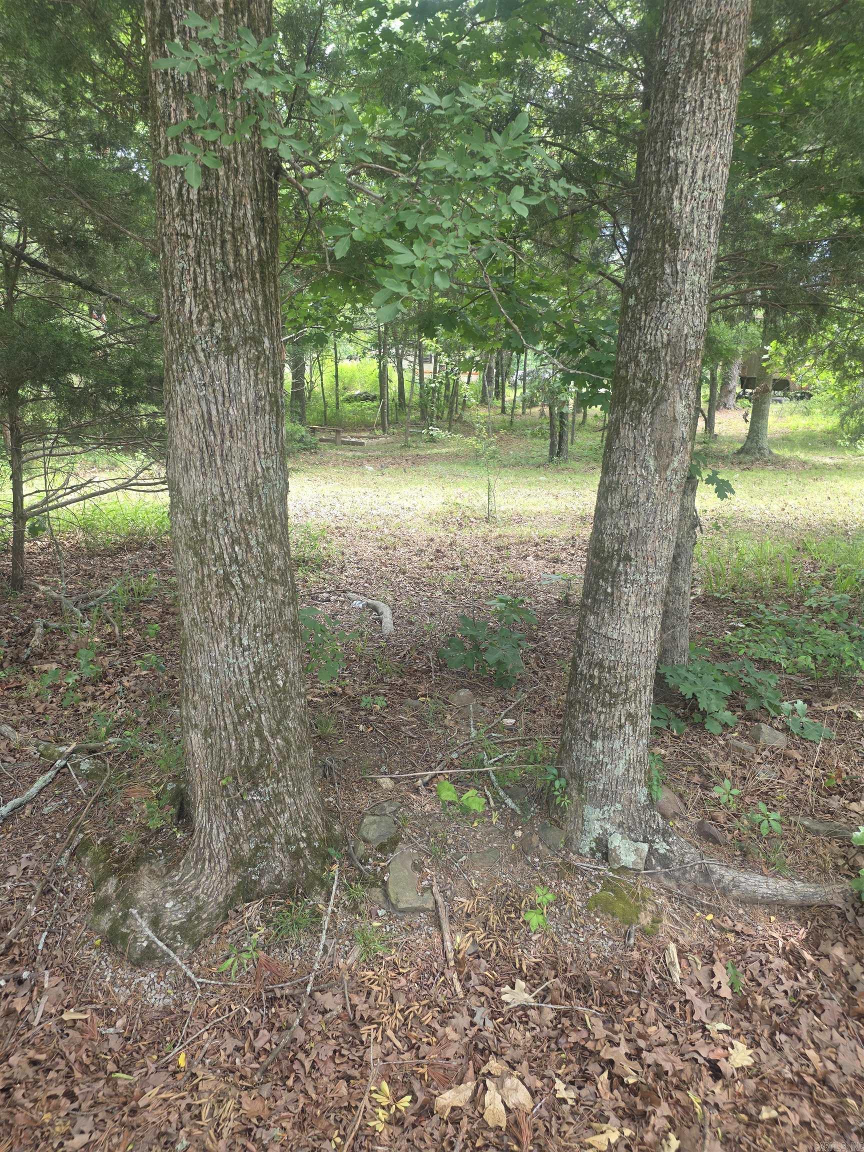Tbd Polk Rd 76 E Property Photo 4