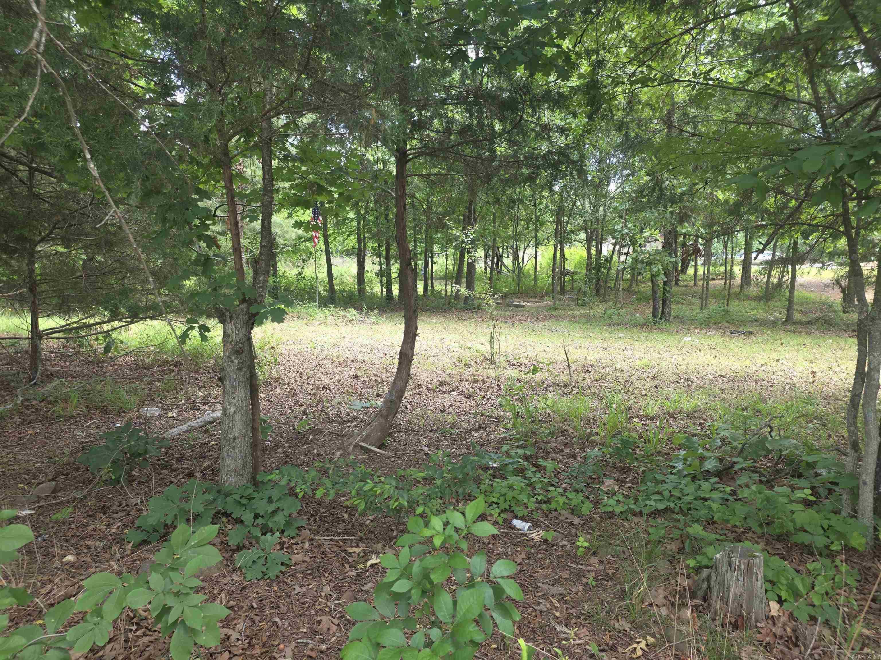 Tbd Polk Rd 76 E Property Photo 5