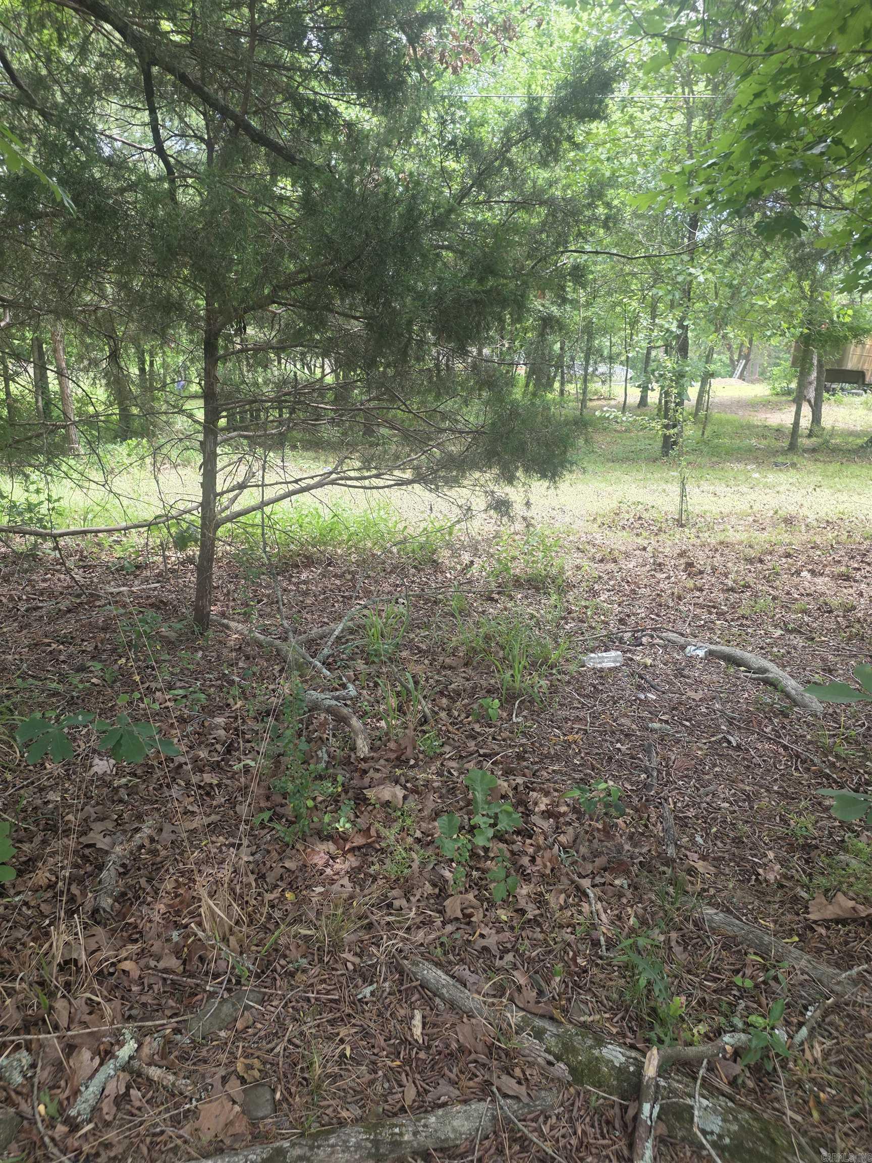 Tbd Polk Rd 76 E Property Photo 6