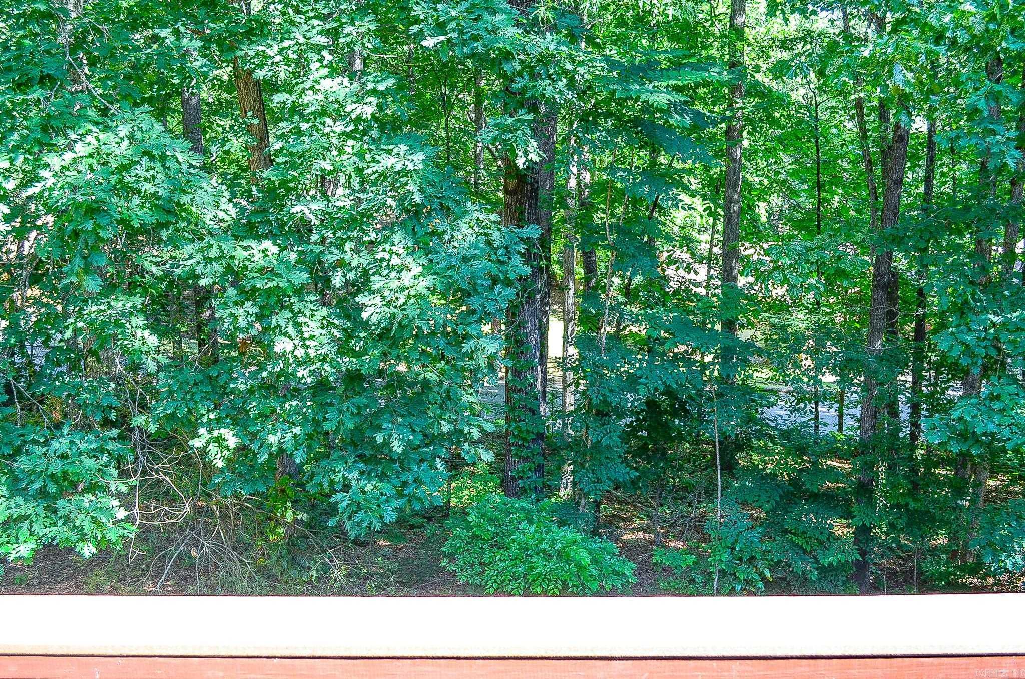 5 Emanuel Lane Property Photo 46