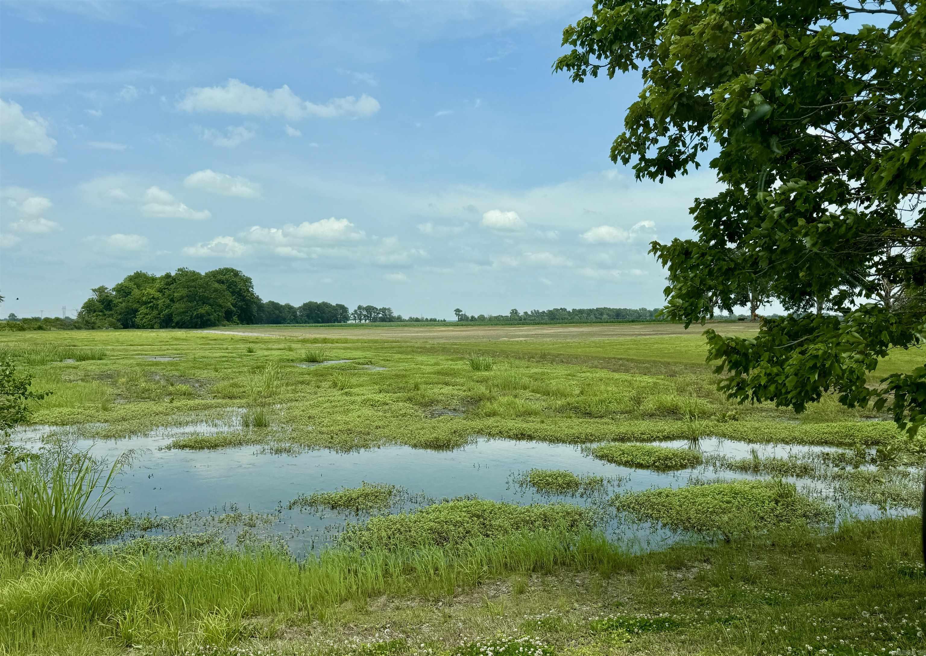 6249 Highway 44 Property Photo 34