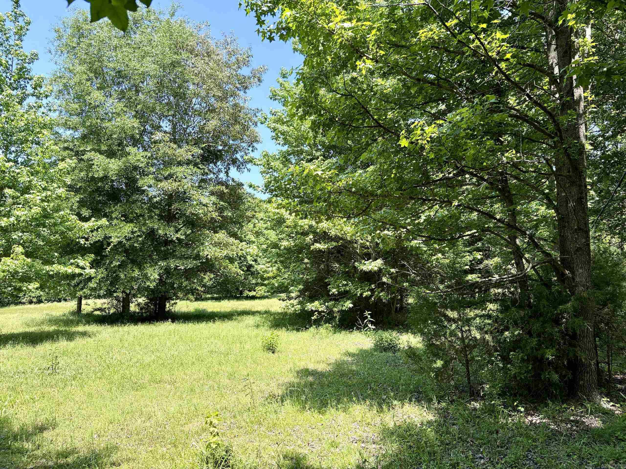 1250 Cr 2651 Property Photo 8