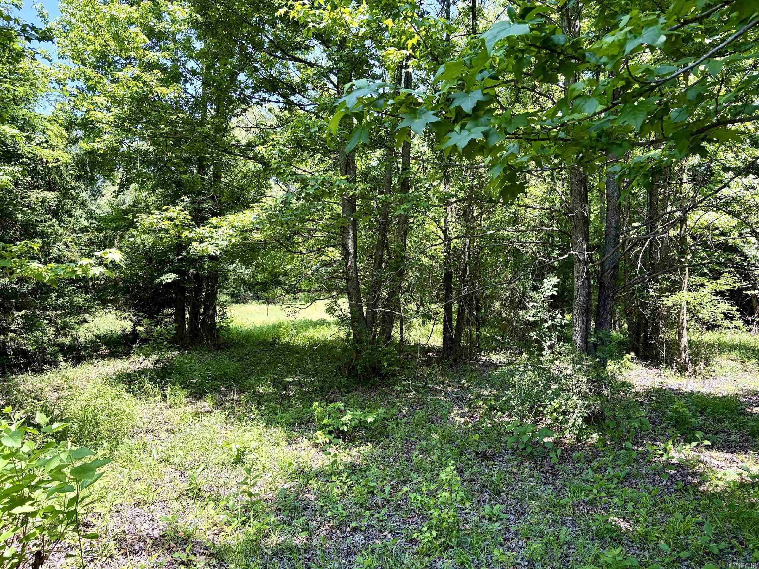 1250 Cr 2651 Property Photo 9