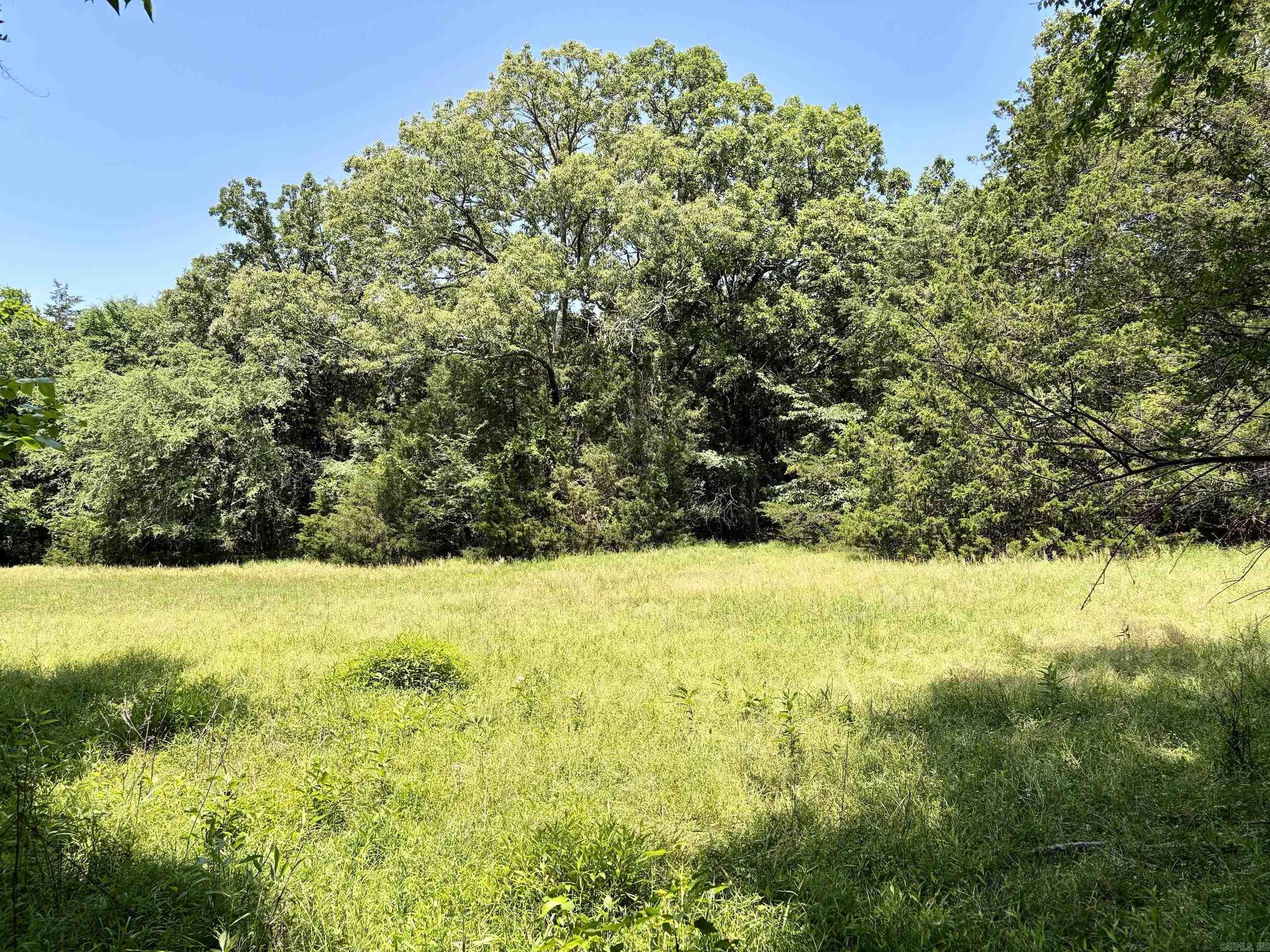 1250 Cr 2651 Property Photo 10