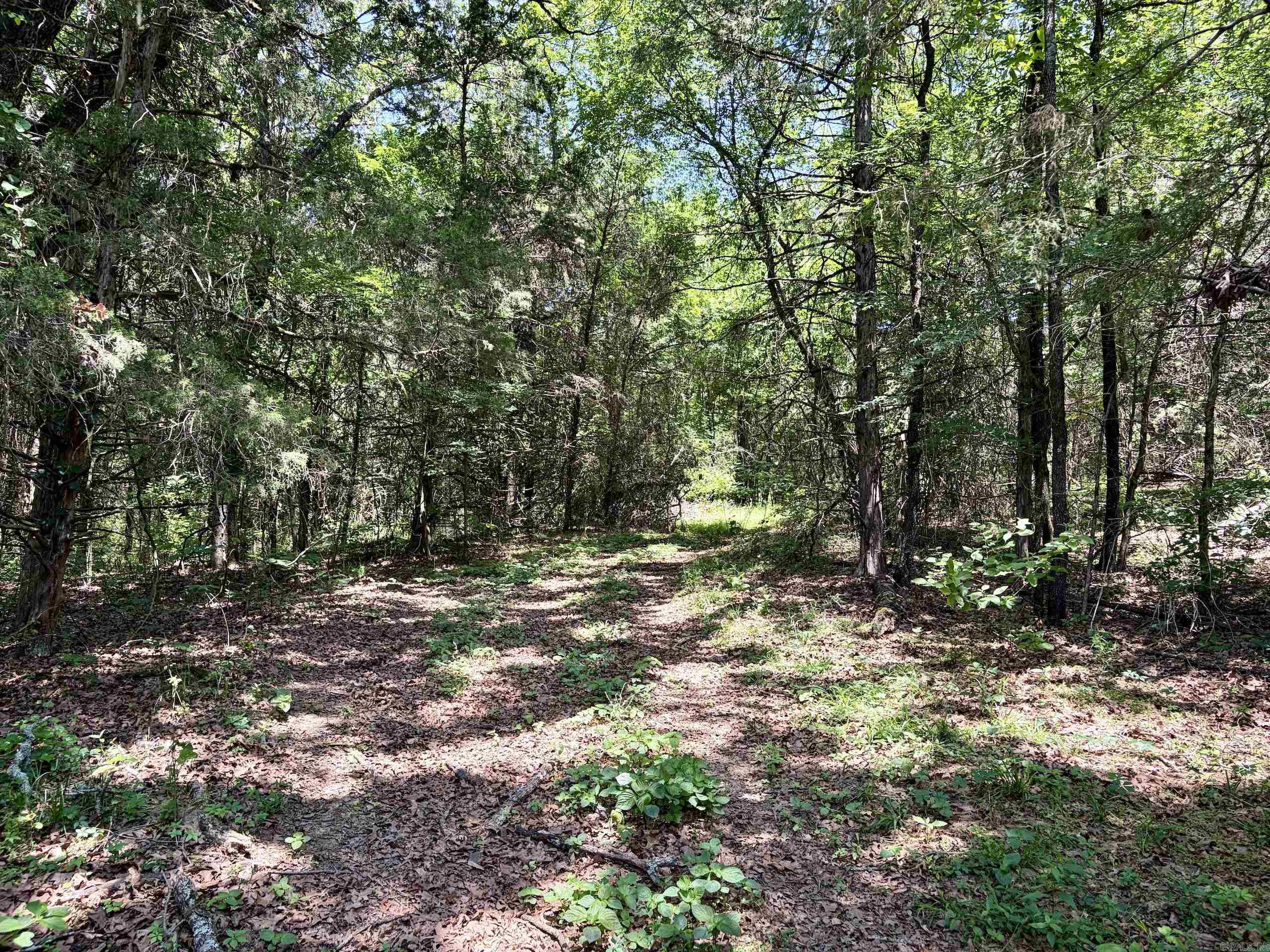 1250 Cr 2651 Property Photo 12