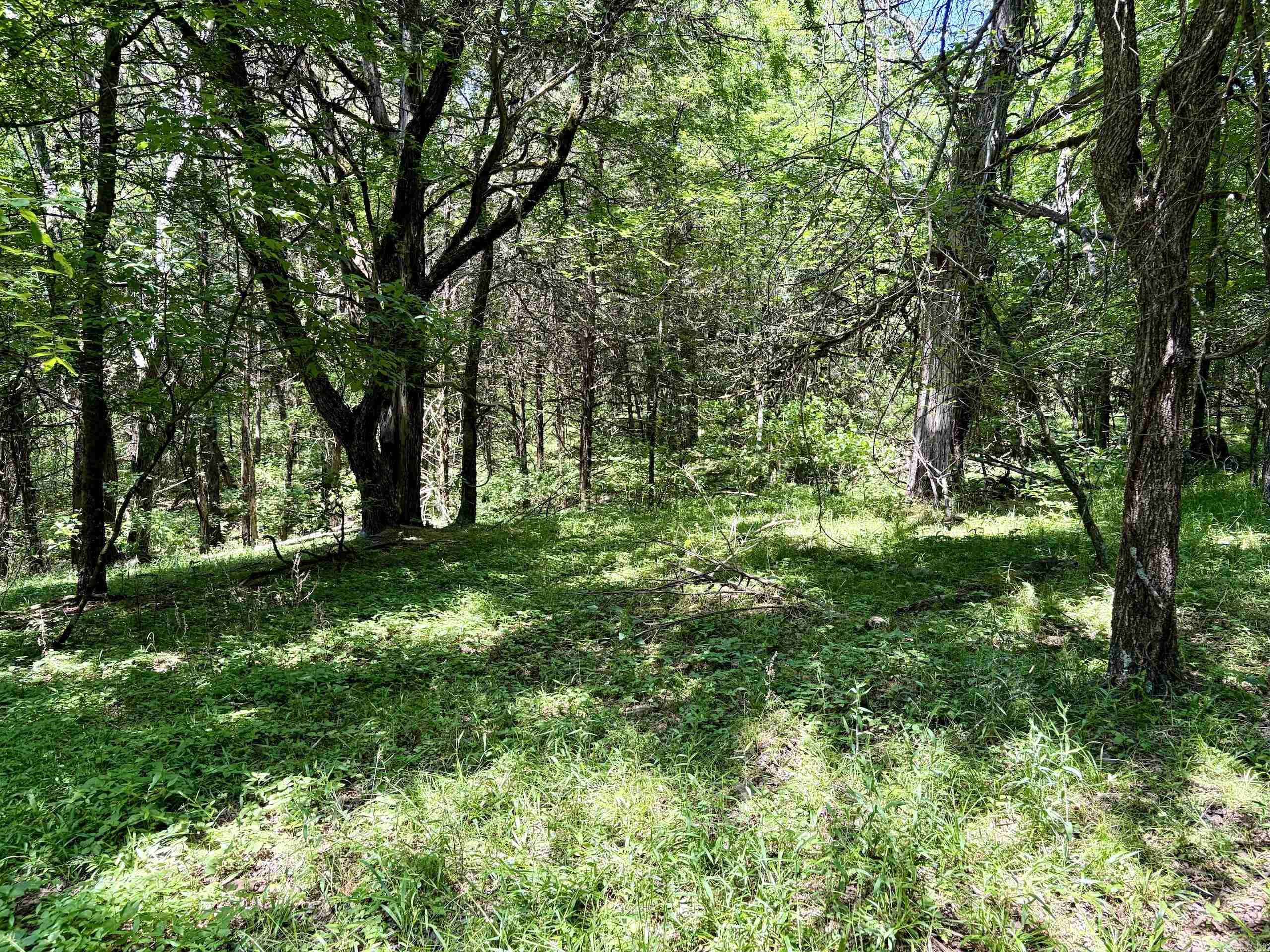 1250 Cr 2651 Property Photo 13
