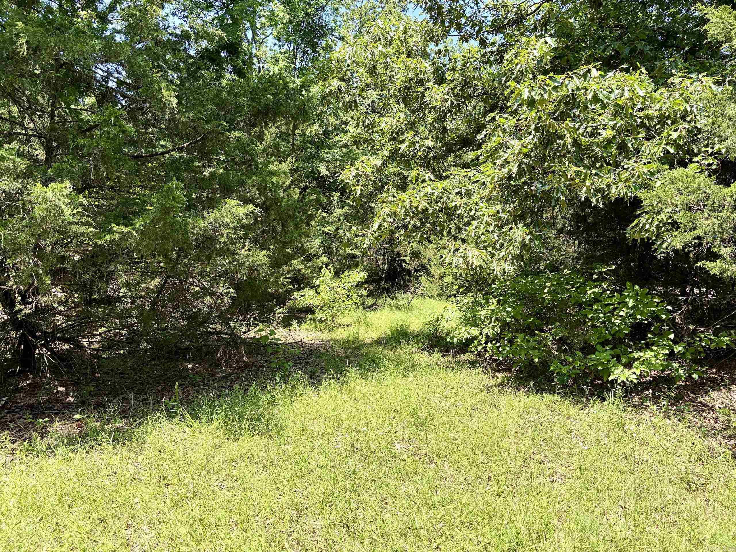 1250 Cr 2651 Property Photo 17