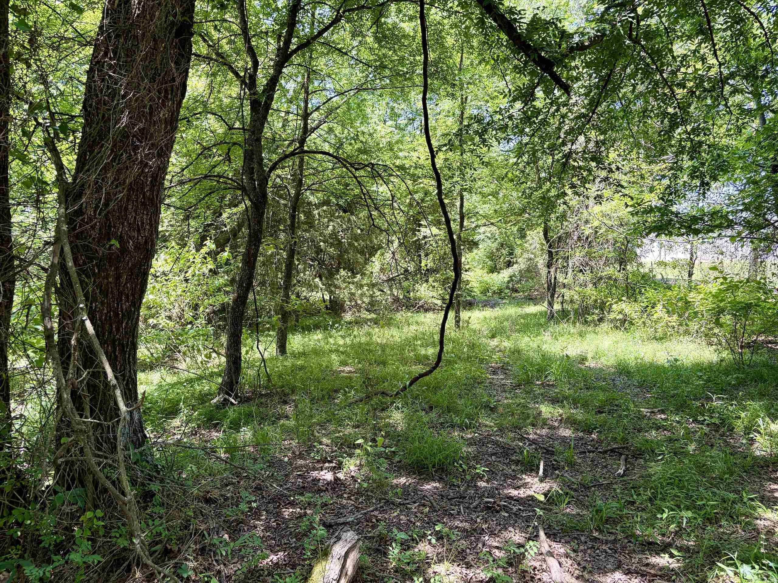 1250 Cr 2651 Property Photo 18