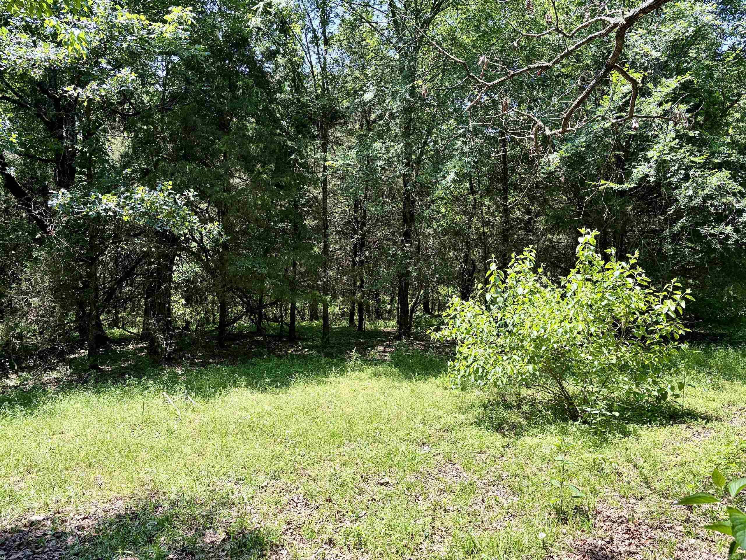 1250 Cr 2651 Property Photo 19