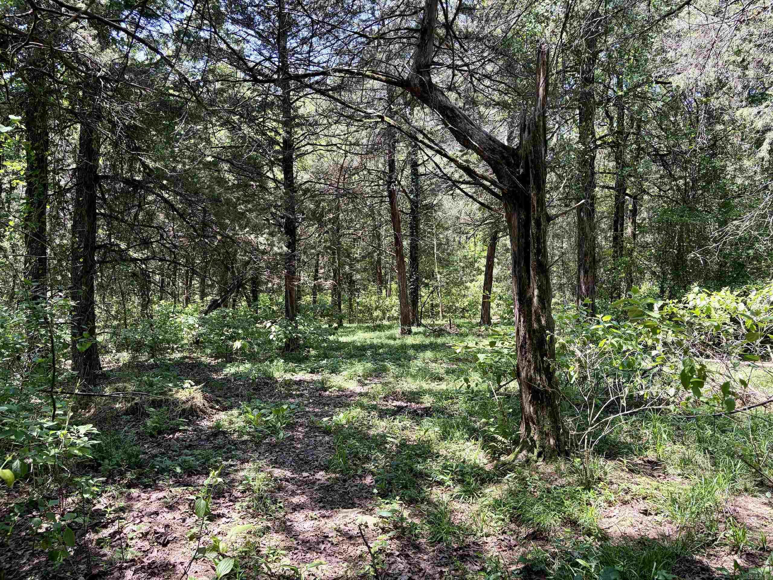 1250 Cr 2651 Property Photo 21