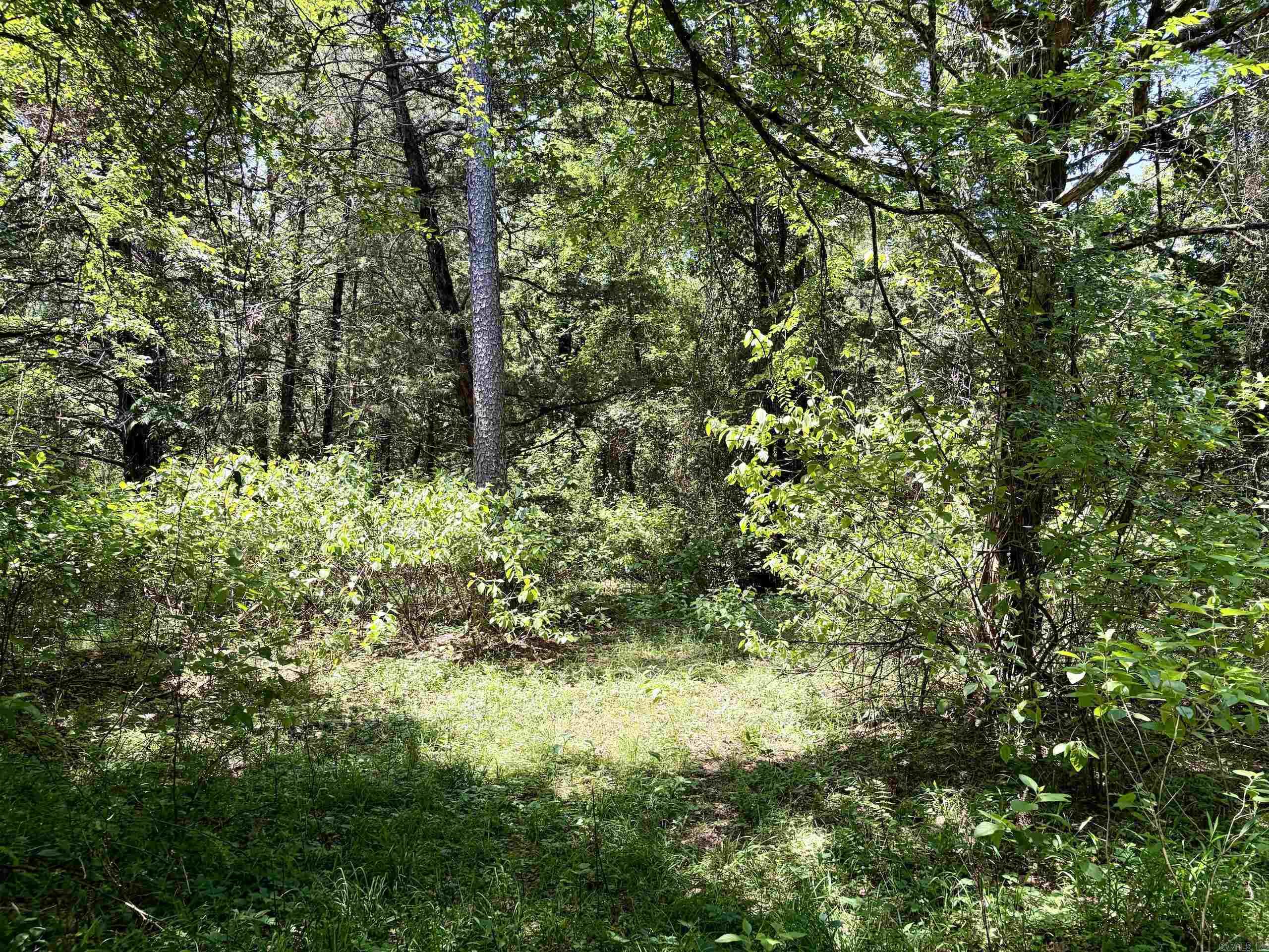 1250 Cr 2651 Property Photo 23