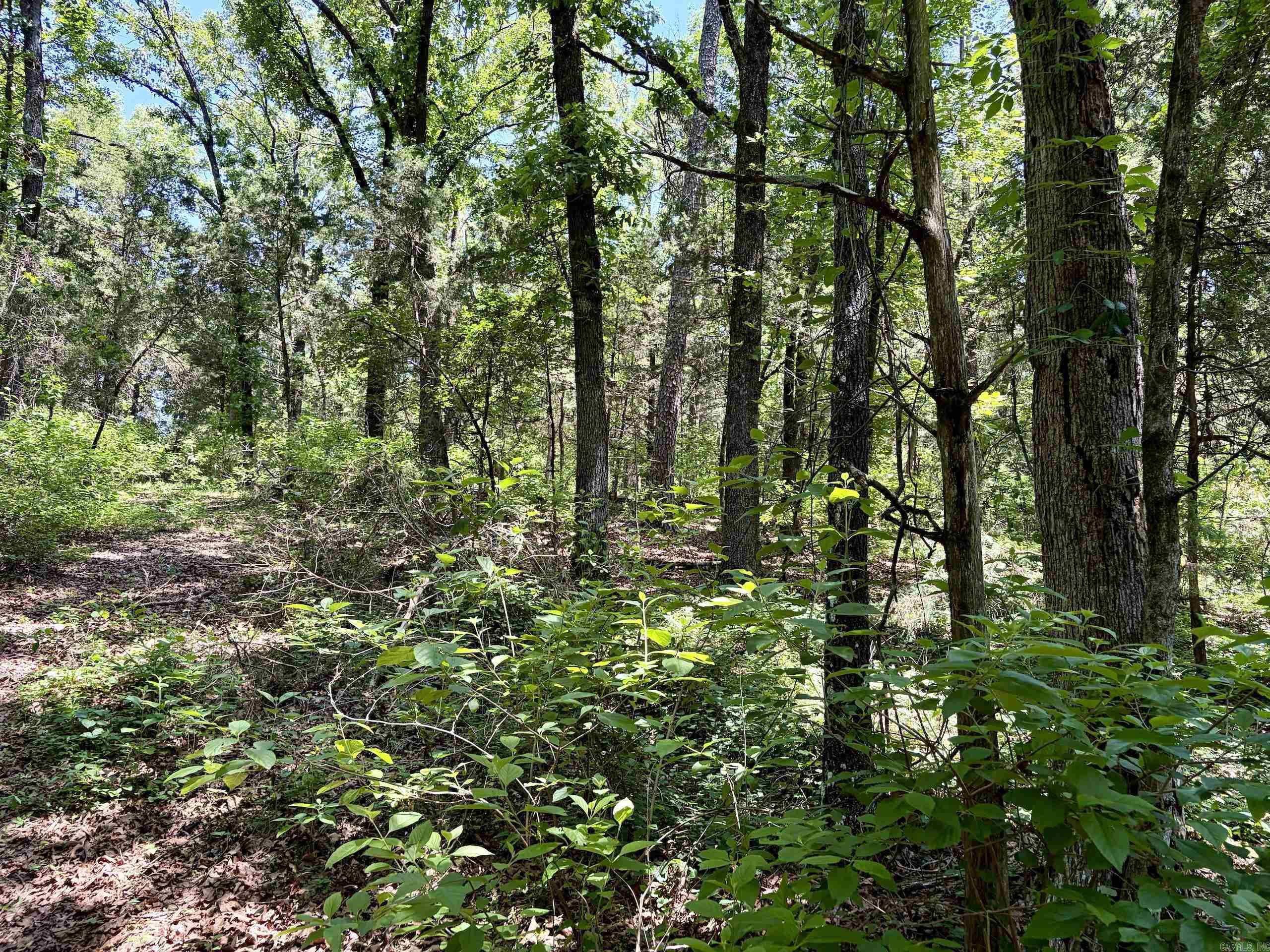 1250 Cr 2651 Property Photo 24