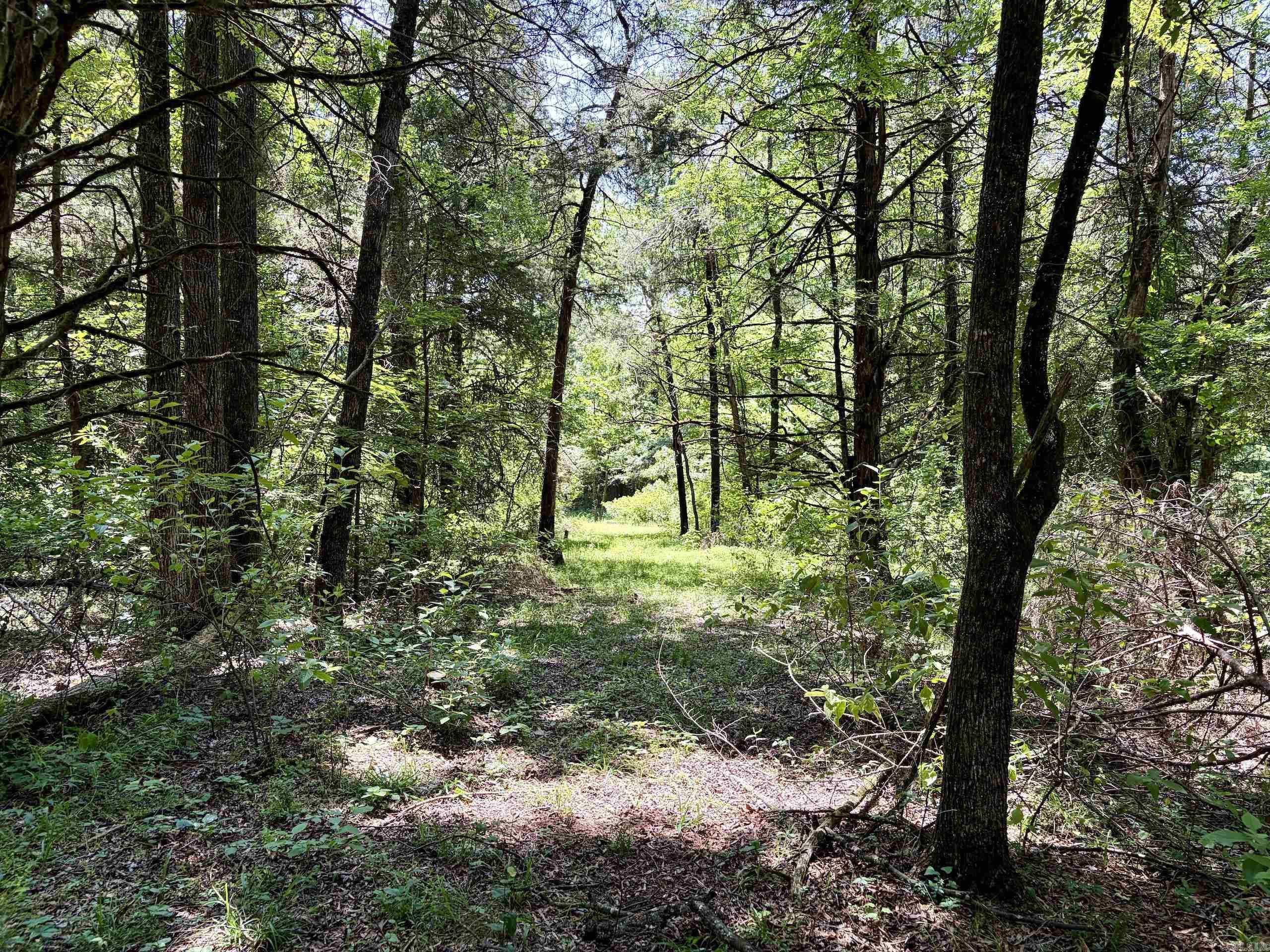 1250 Cr 2651 Property Photo 28