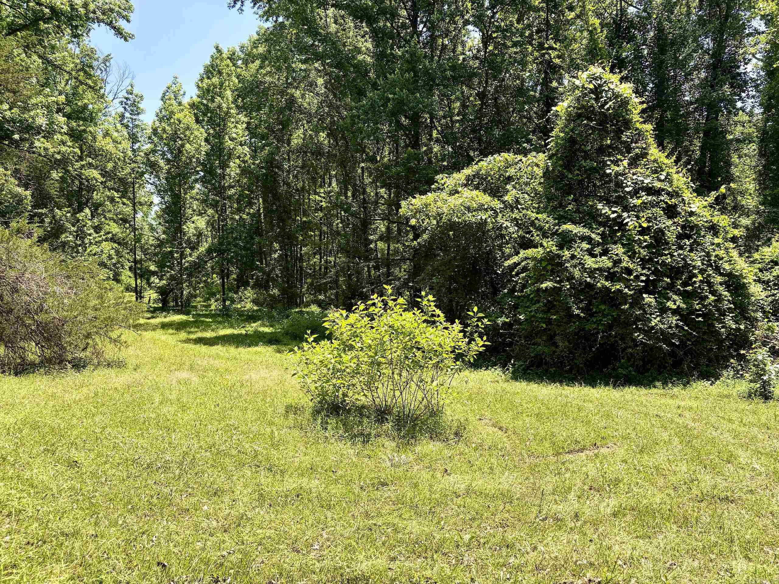 1250 Cr 2651 Property Photo 29