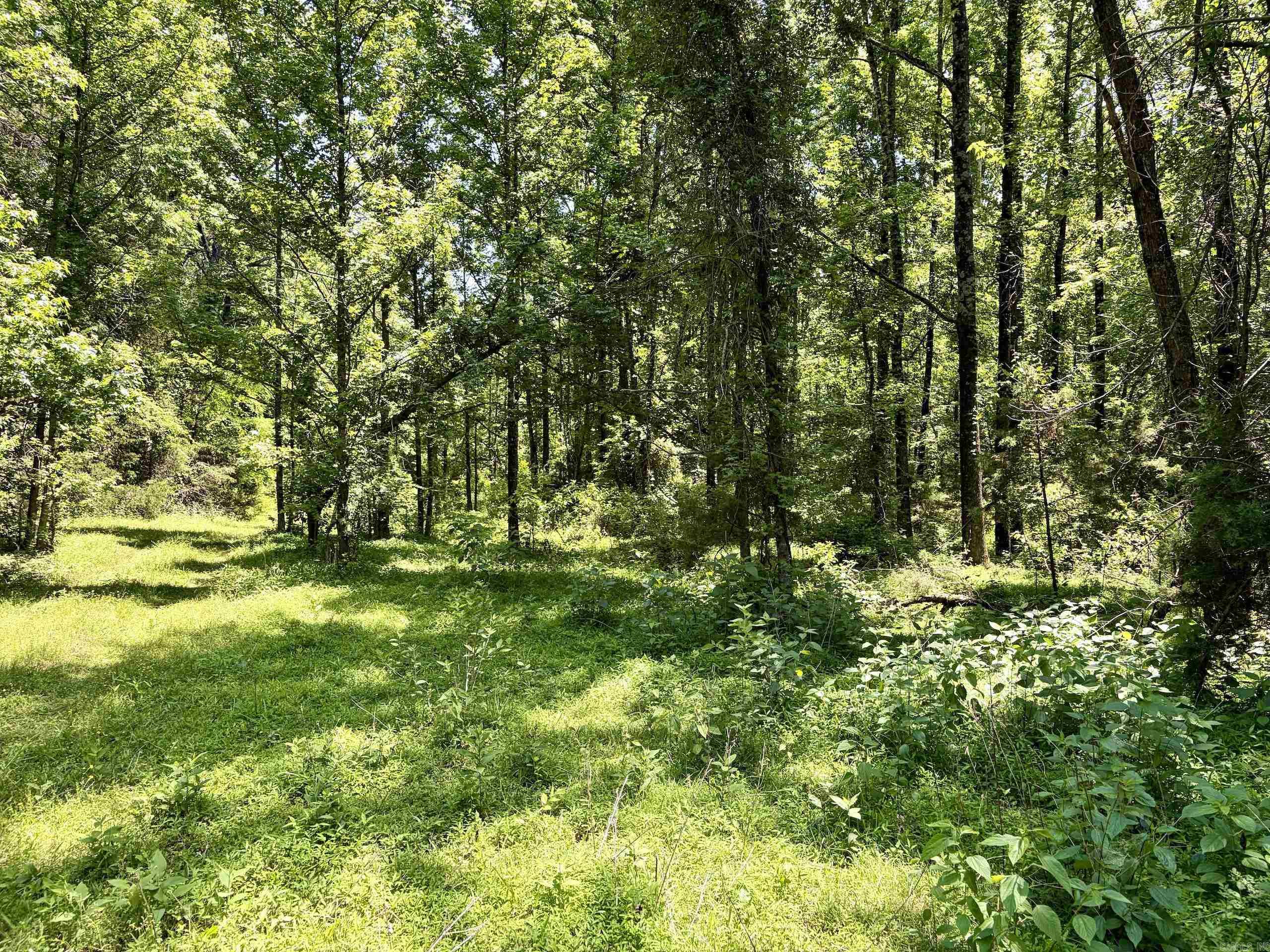 1250 Cr 2651 Property Photo 30
