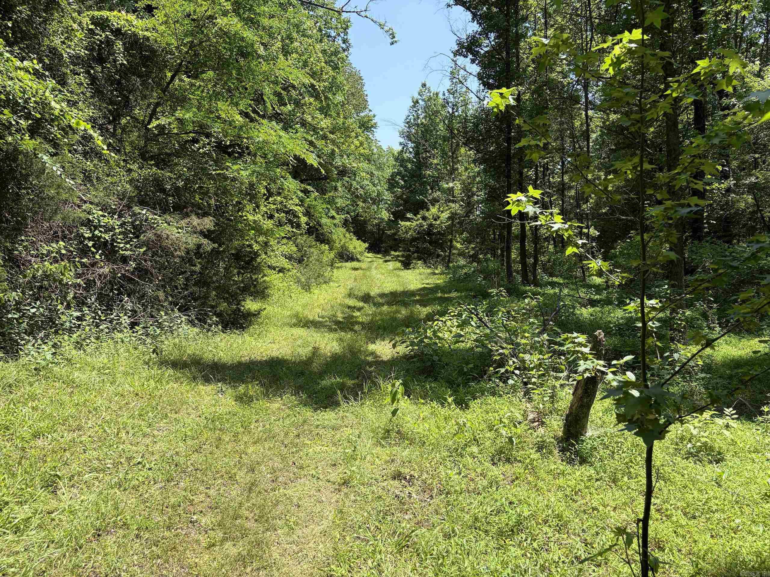 1250 Cr 2651 Property Photo 33