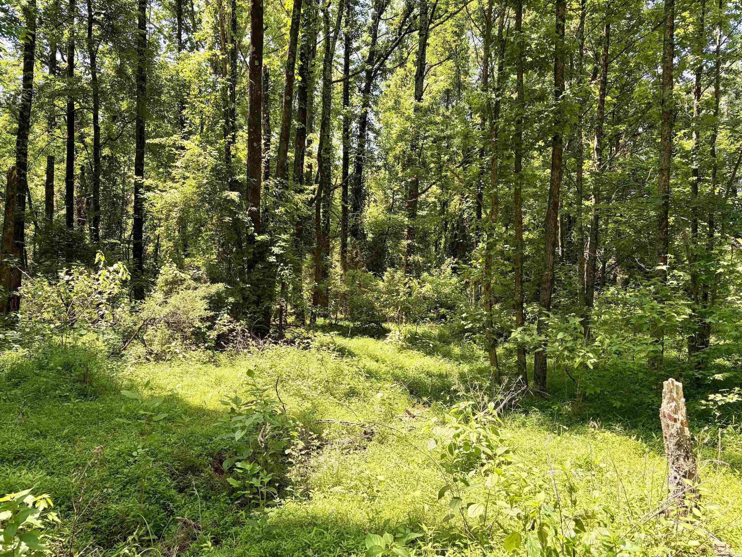 1250 Cr 2651 Property Photo 34