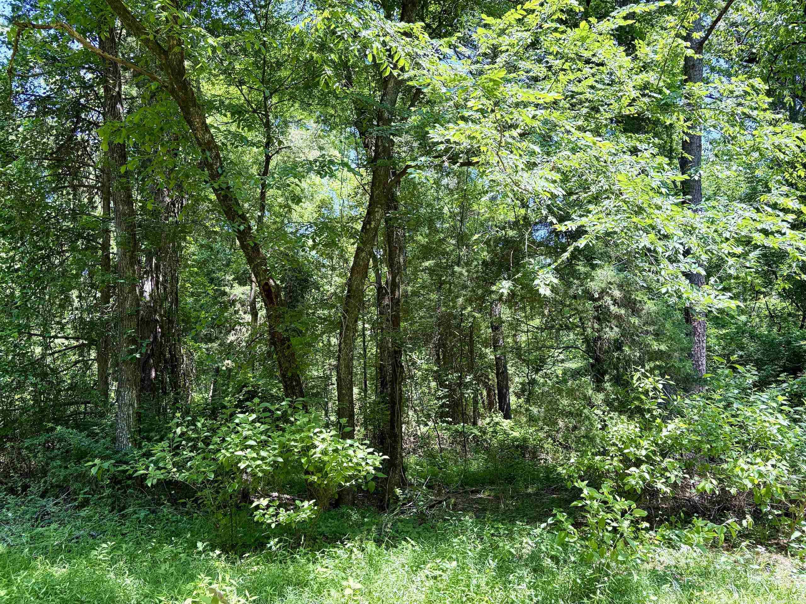 1250 Cr 2651 Property Photo 37