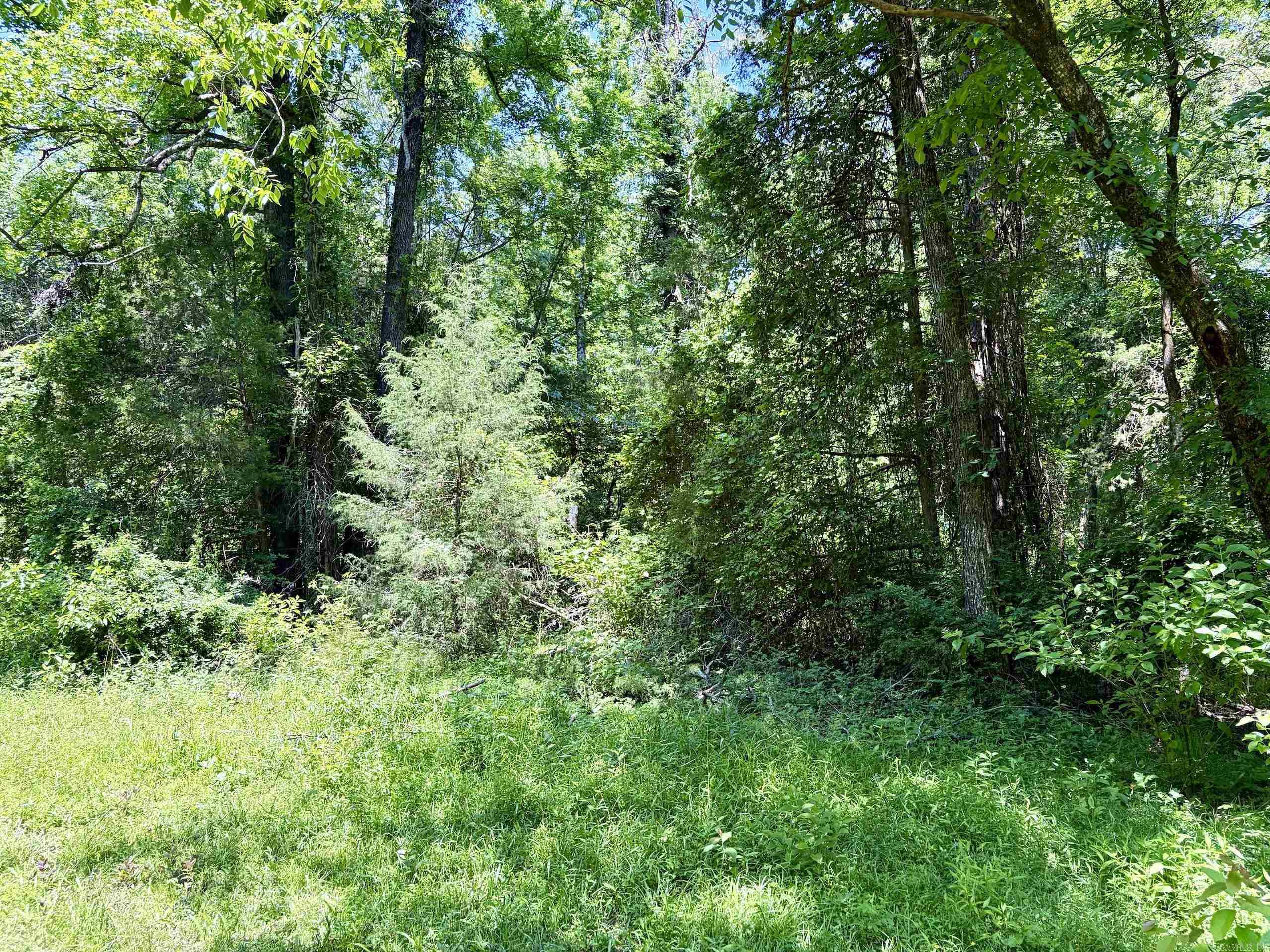 1250 Cr 2651 Property Photo 38