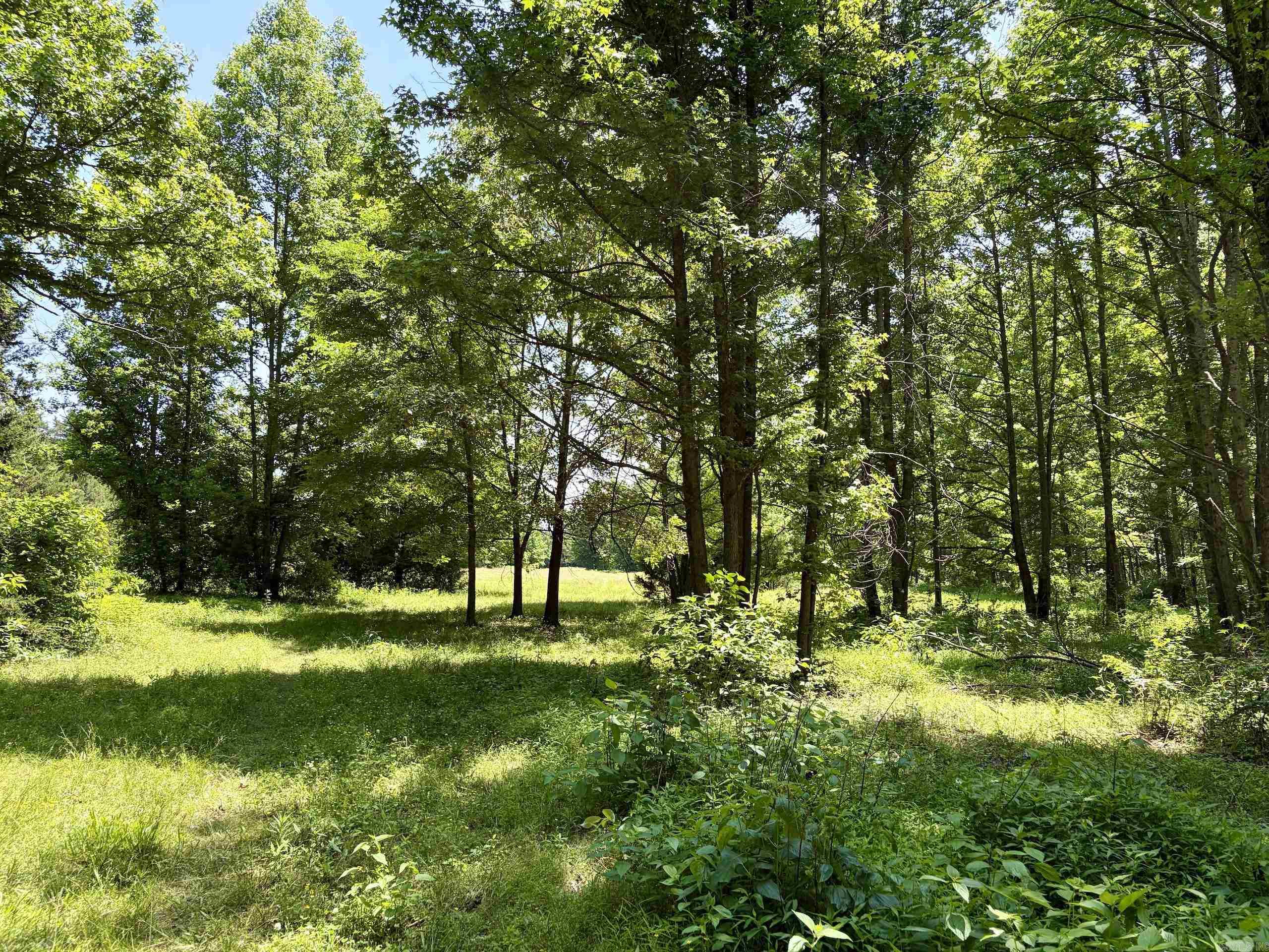 1250 Cr 2651 Property Photo 40