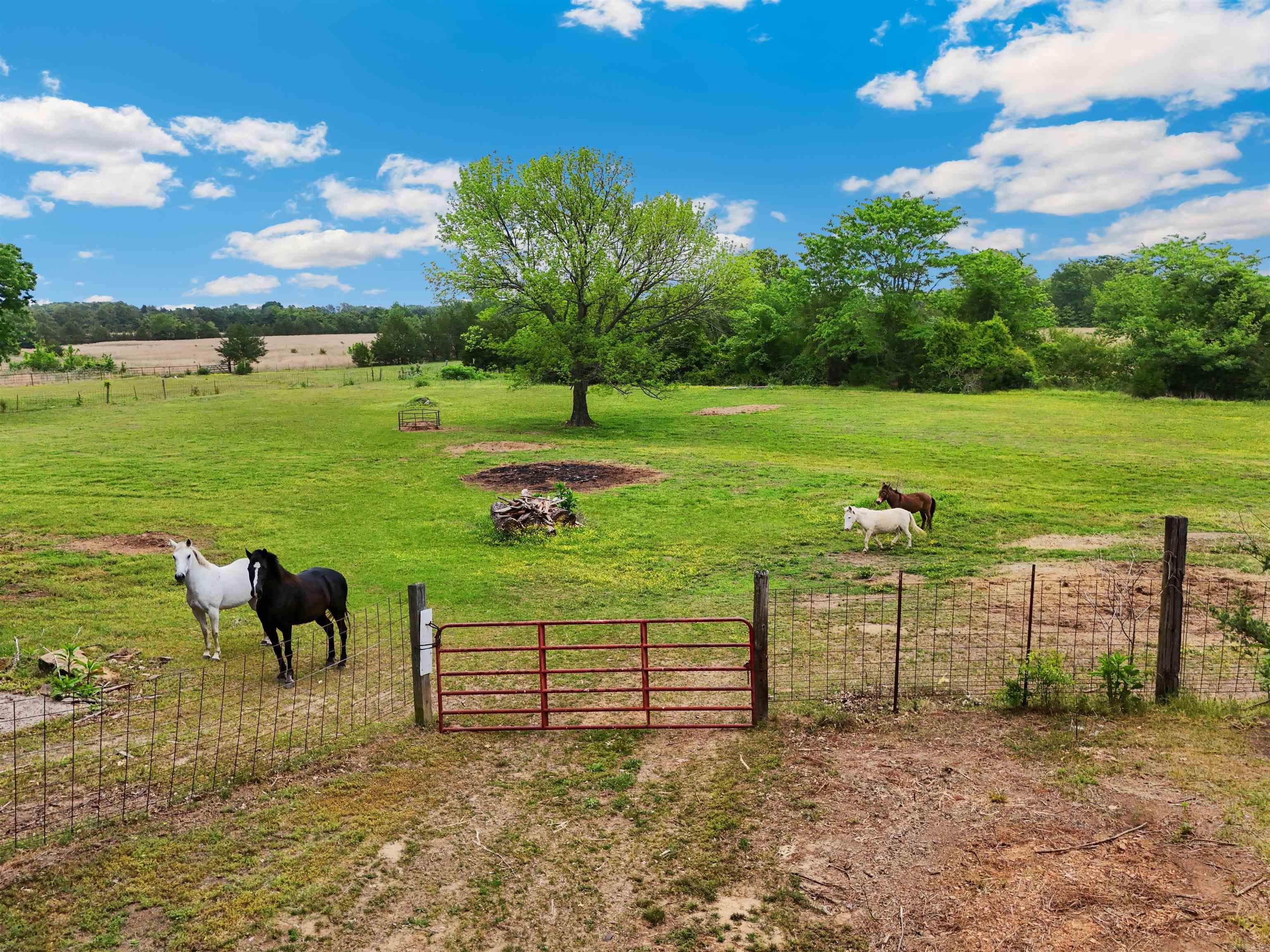 1402 36 Highway Property Photo 4