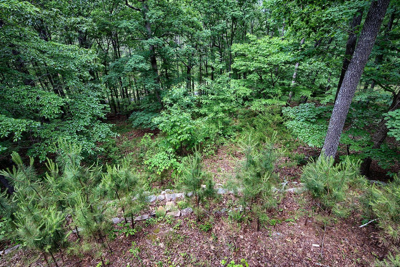 44 Sur De Curso Way Property Photo 48