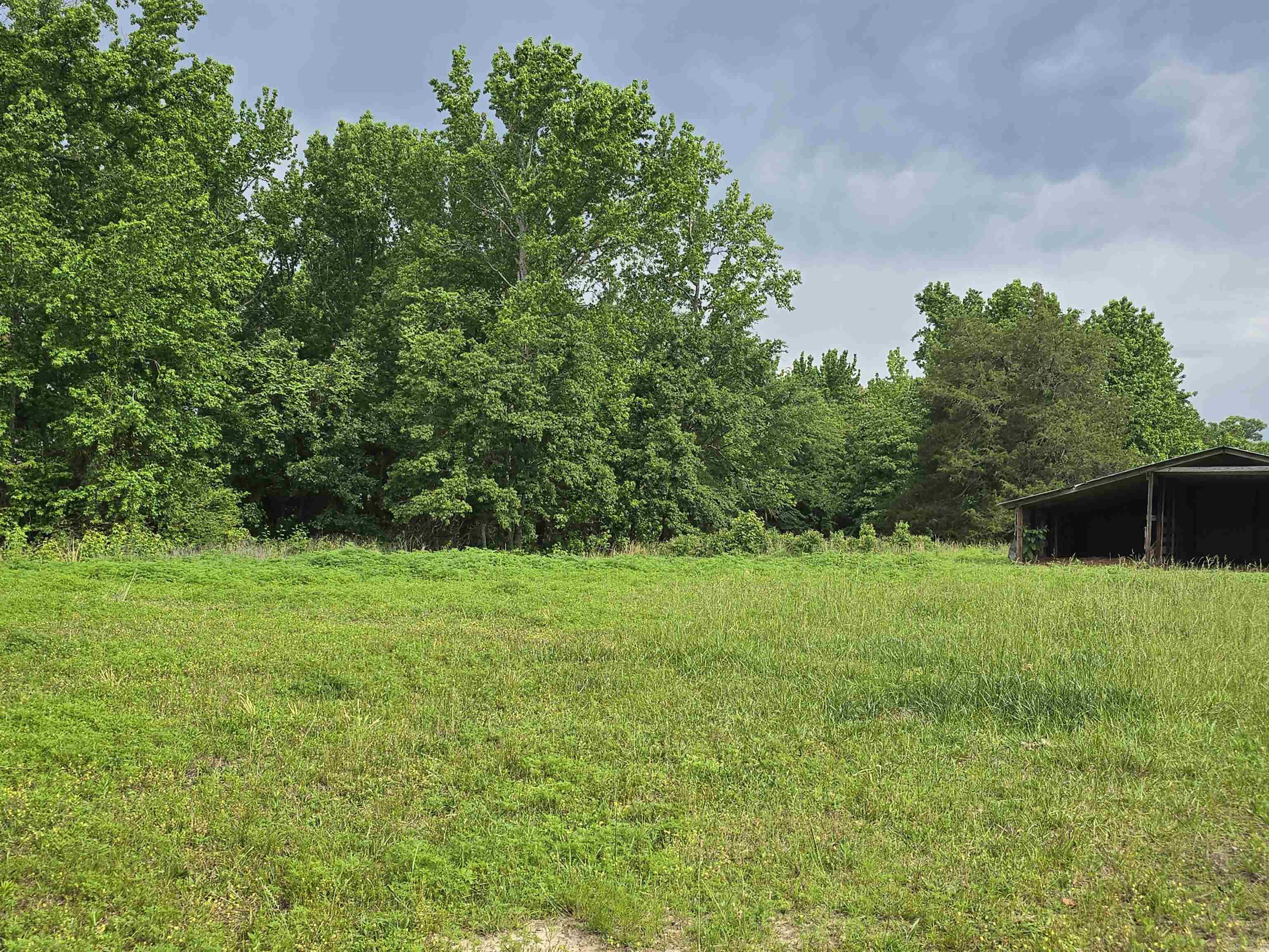 1425 Lone Star Road Property Photo 4