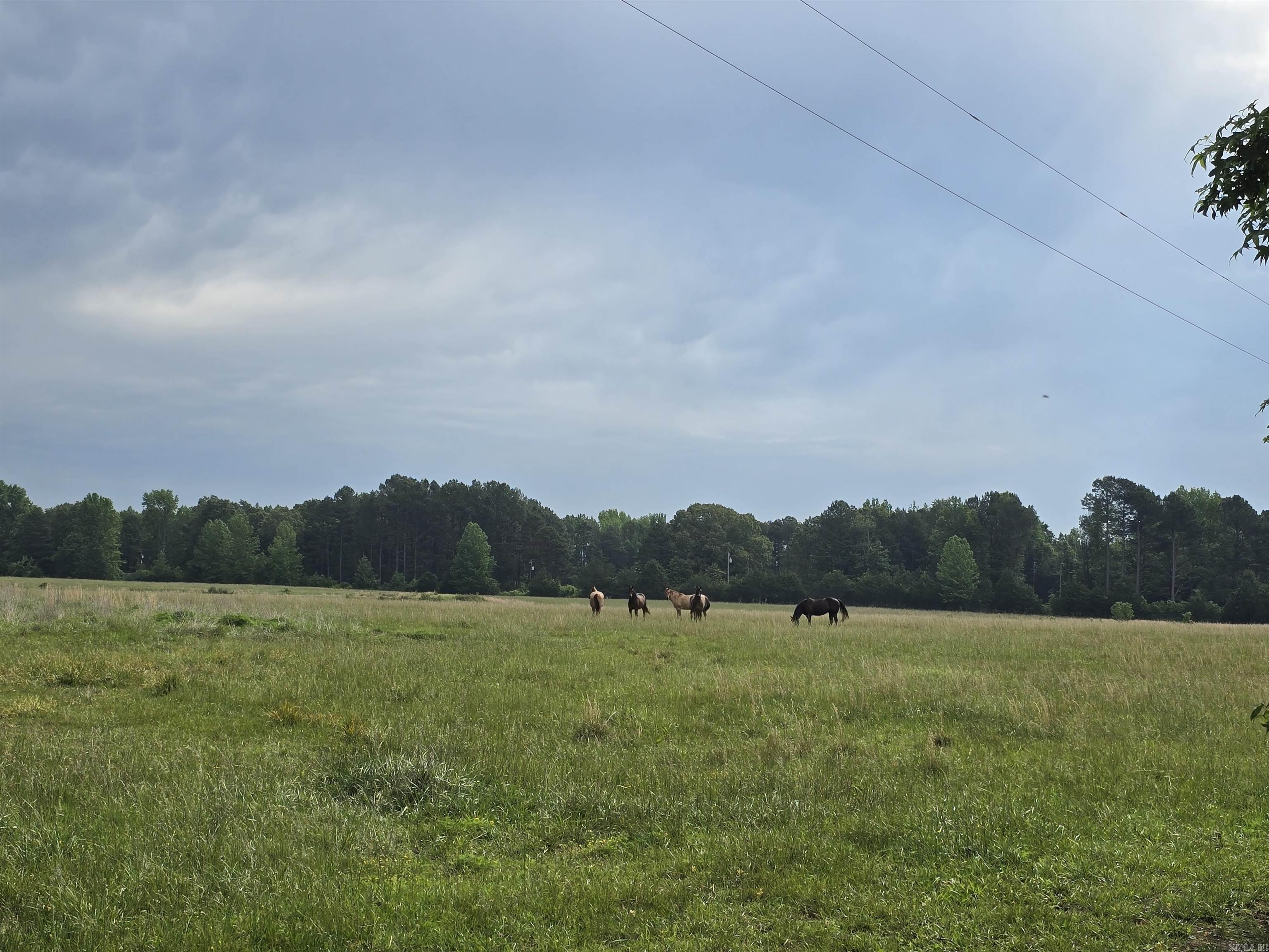 1425 Lone Star Road Property Photo 5