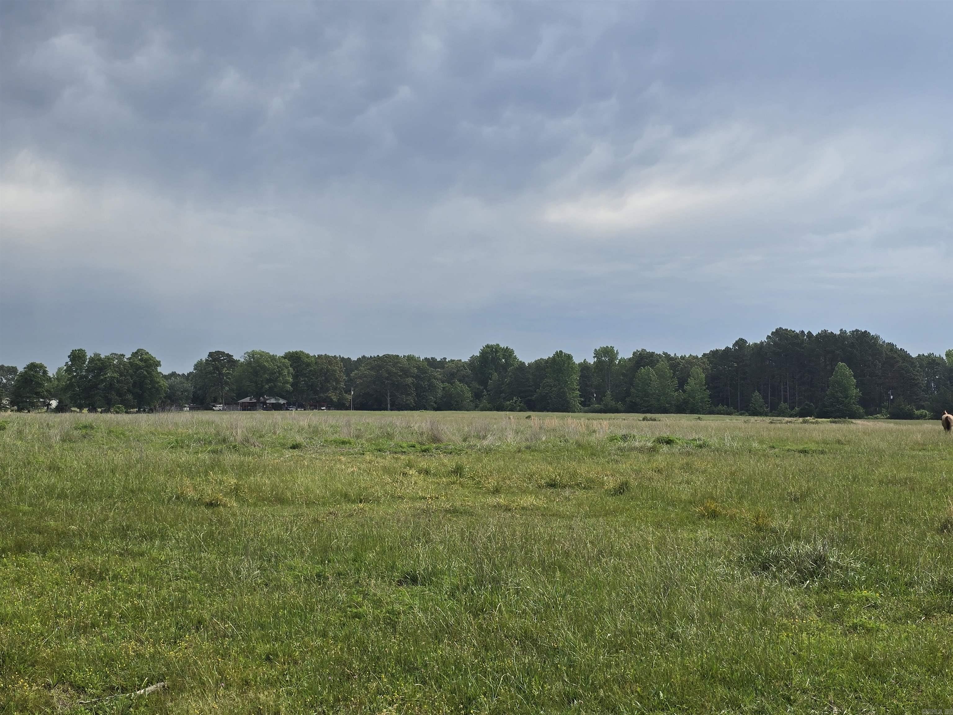 1425 Lone Star Road Property Photo 6