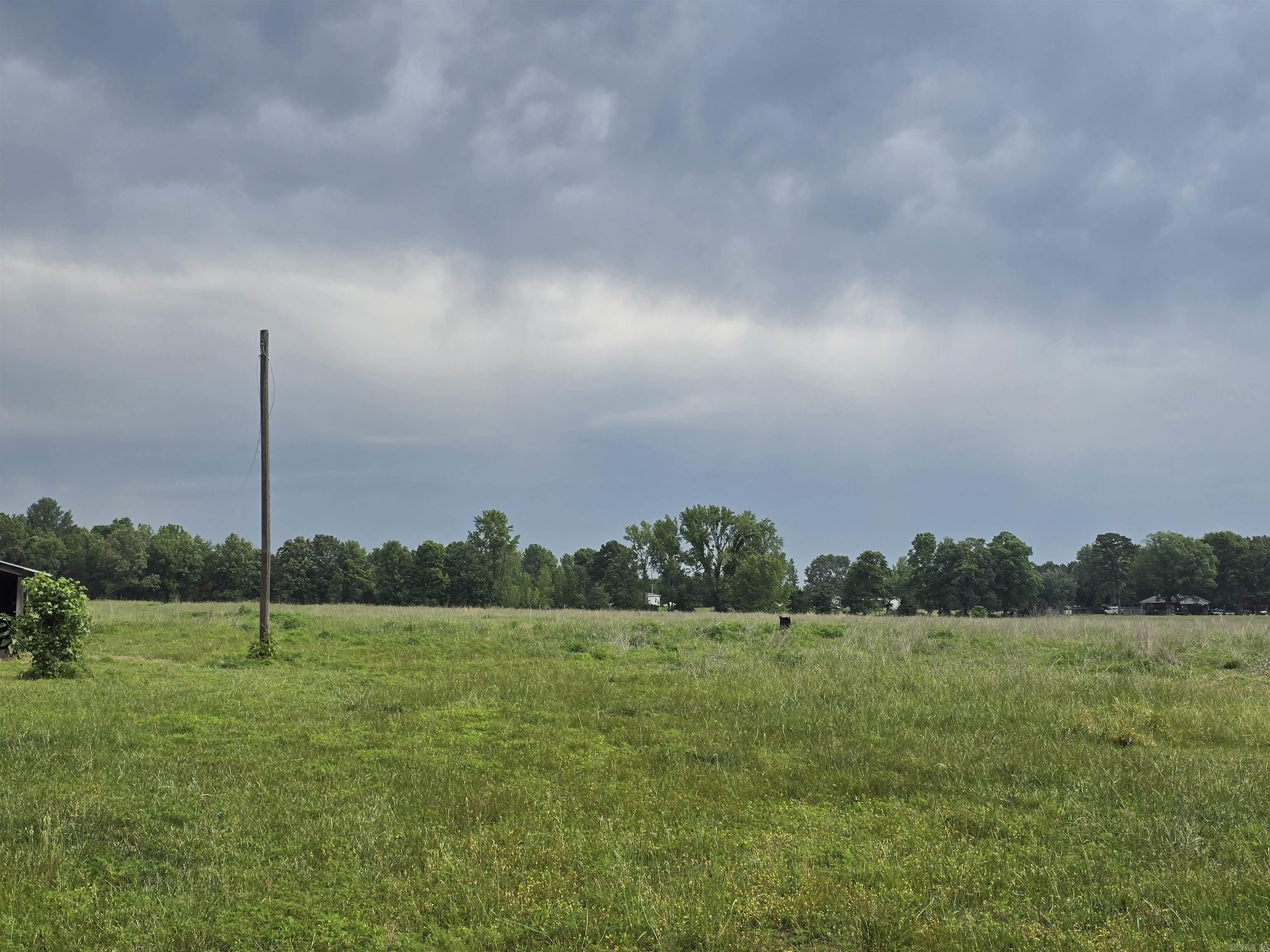 1425 Lone Star Road Property Photo 7