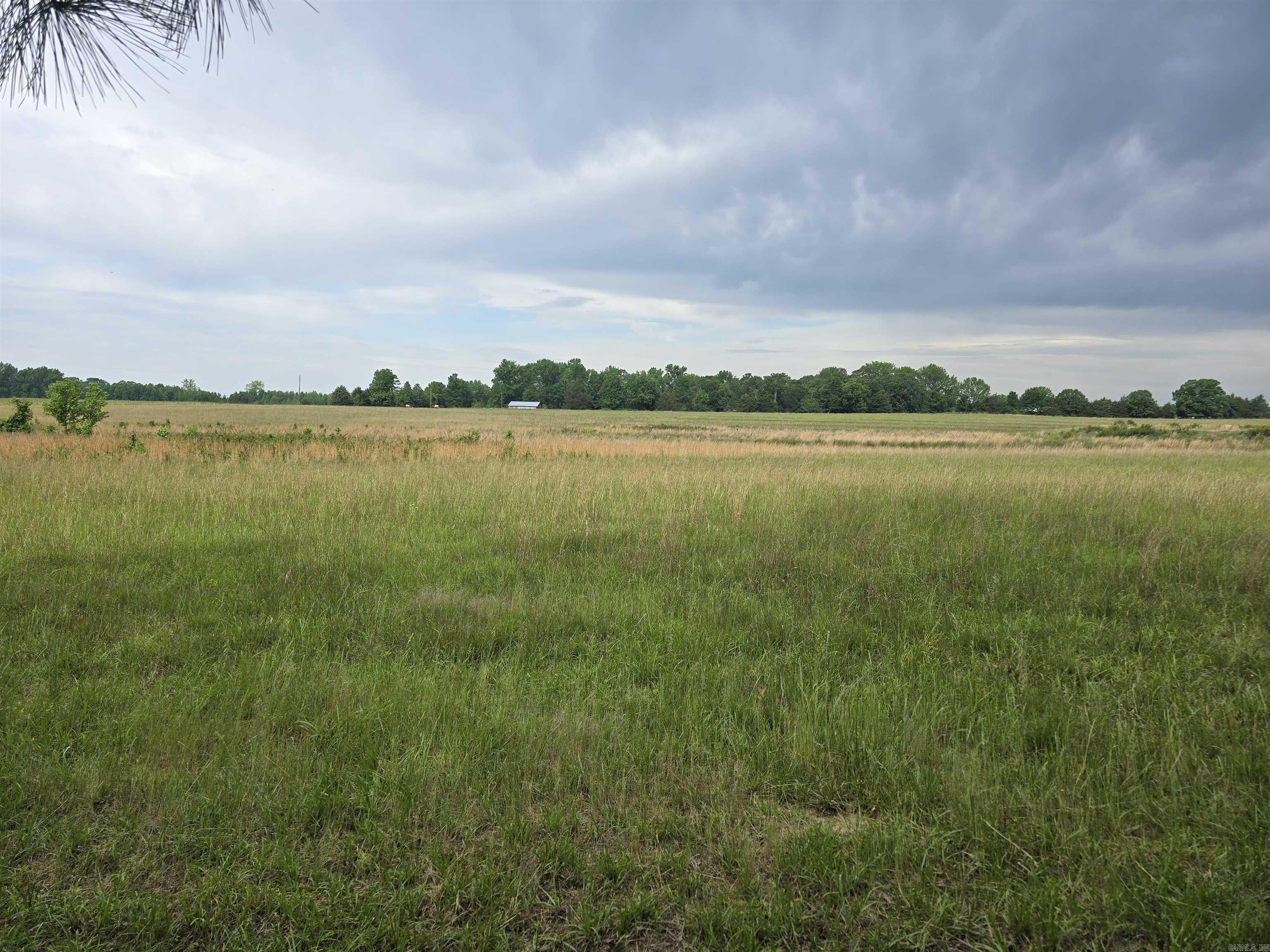 1425 Lone Star Road Property Photo 9