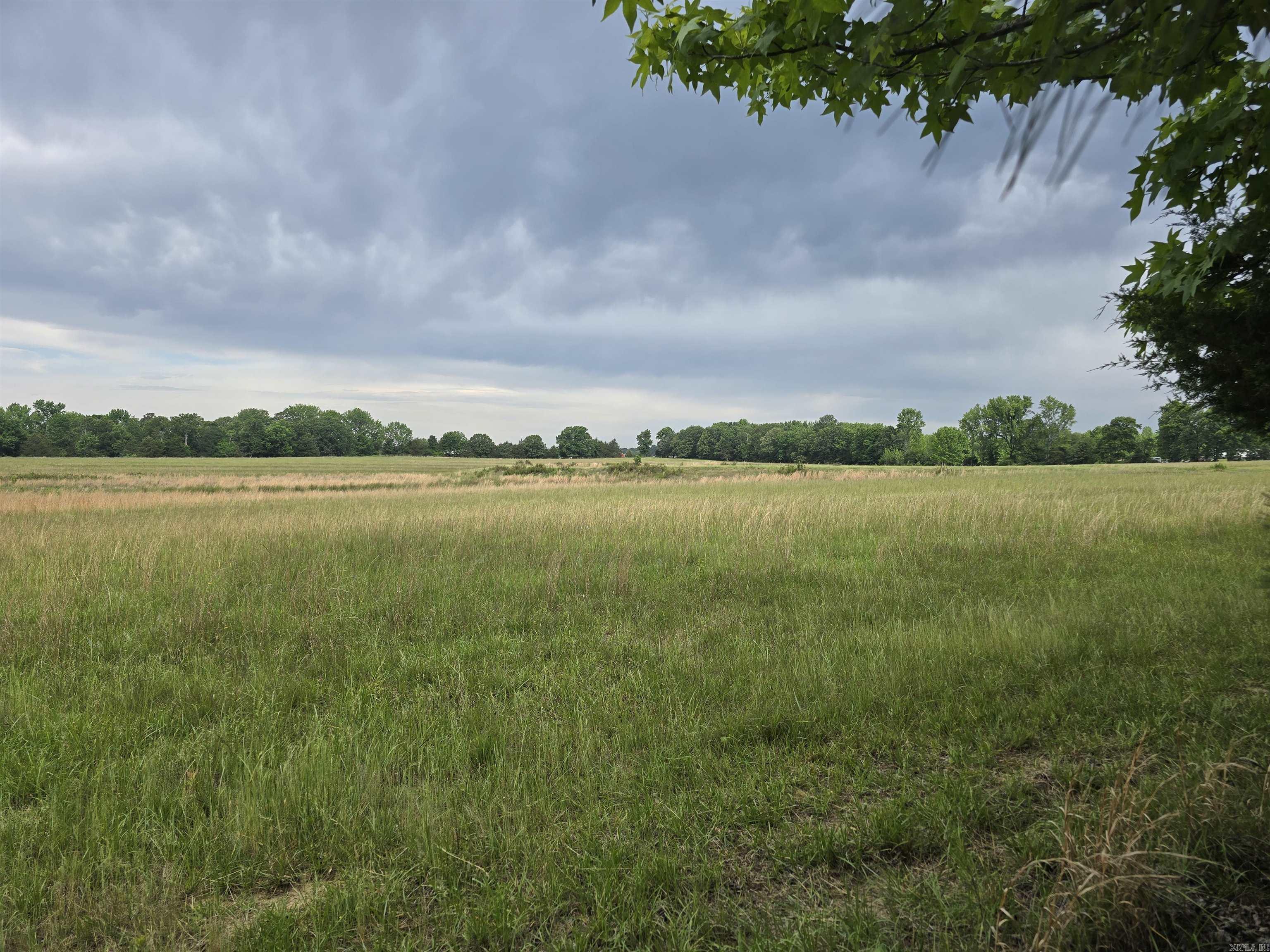 1425 Lone Star Road Property Photo 10