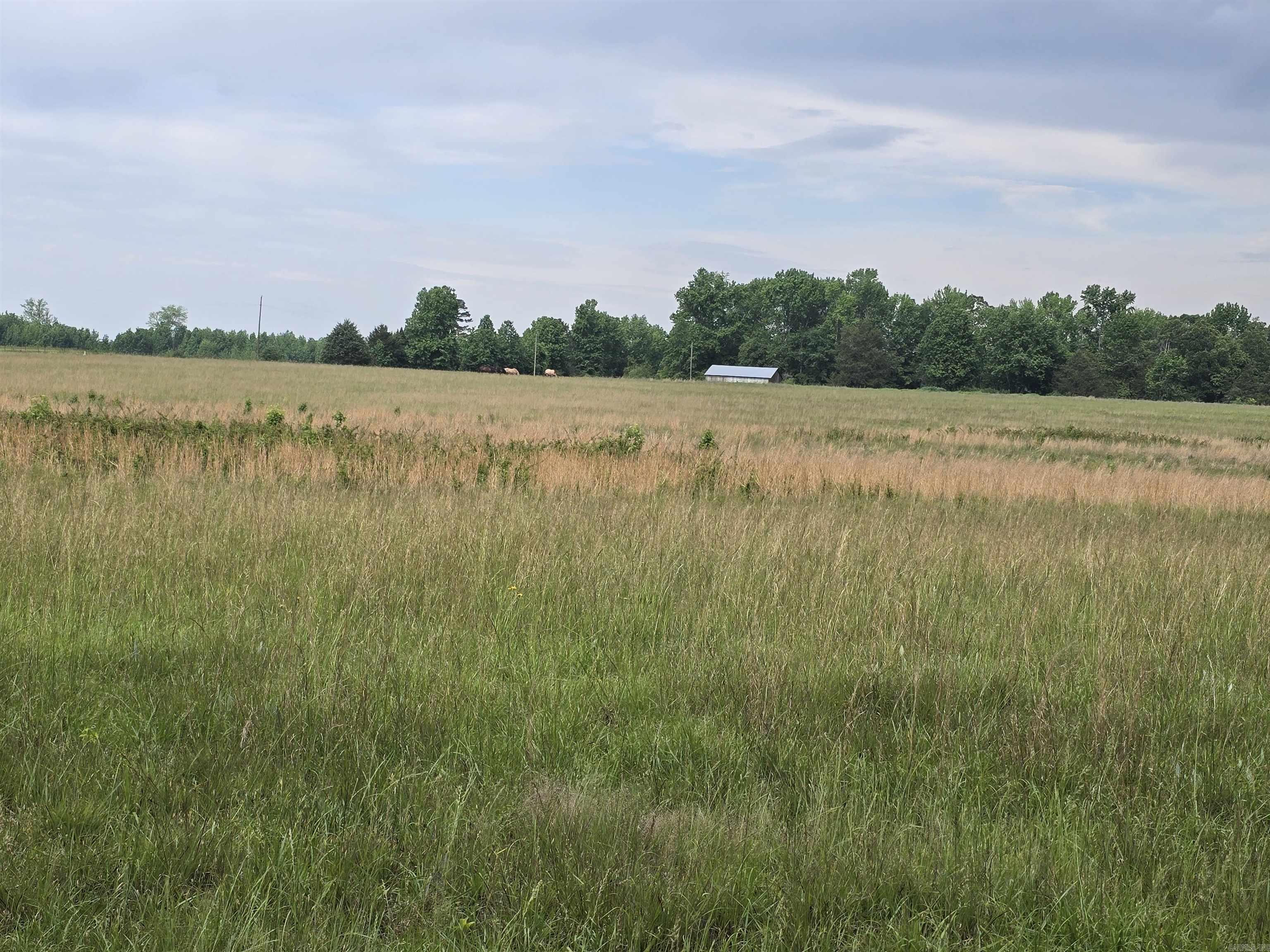 1425 Lone Star Road Property Photo 11